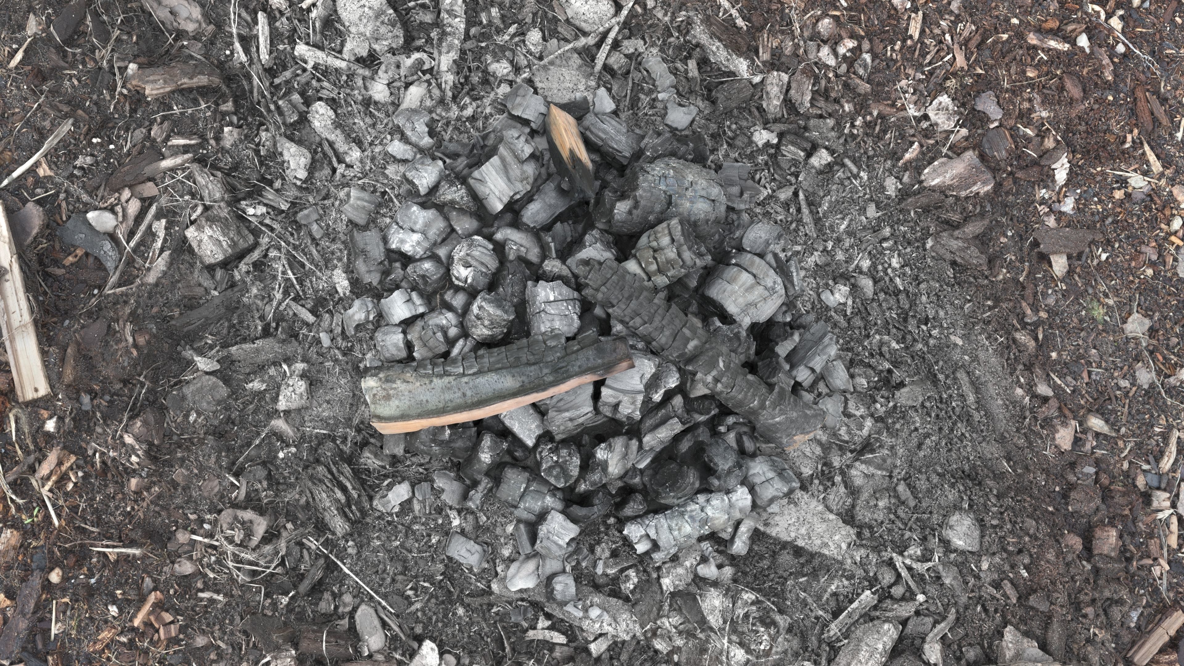 Burned Logs and Ashes Low-poly 3D model_29
