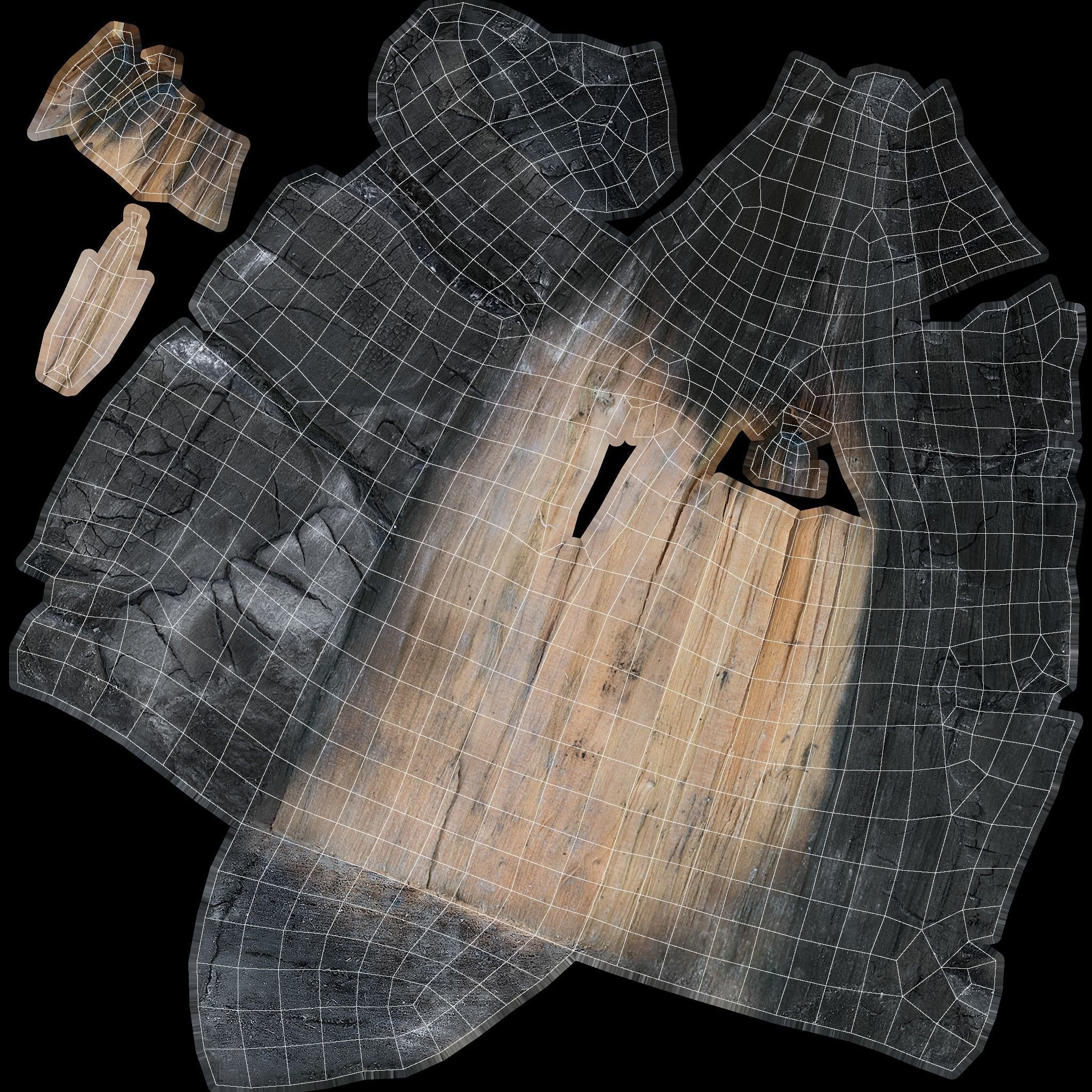 Burned Logs and Ashes Low-poly 3D model_44