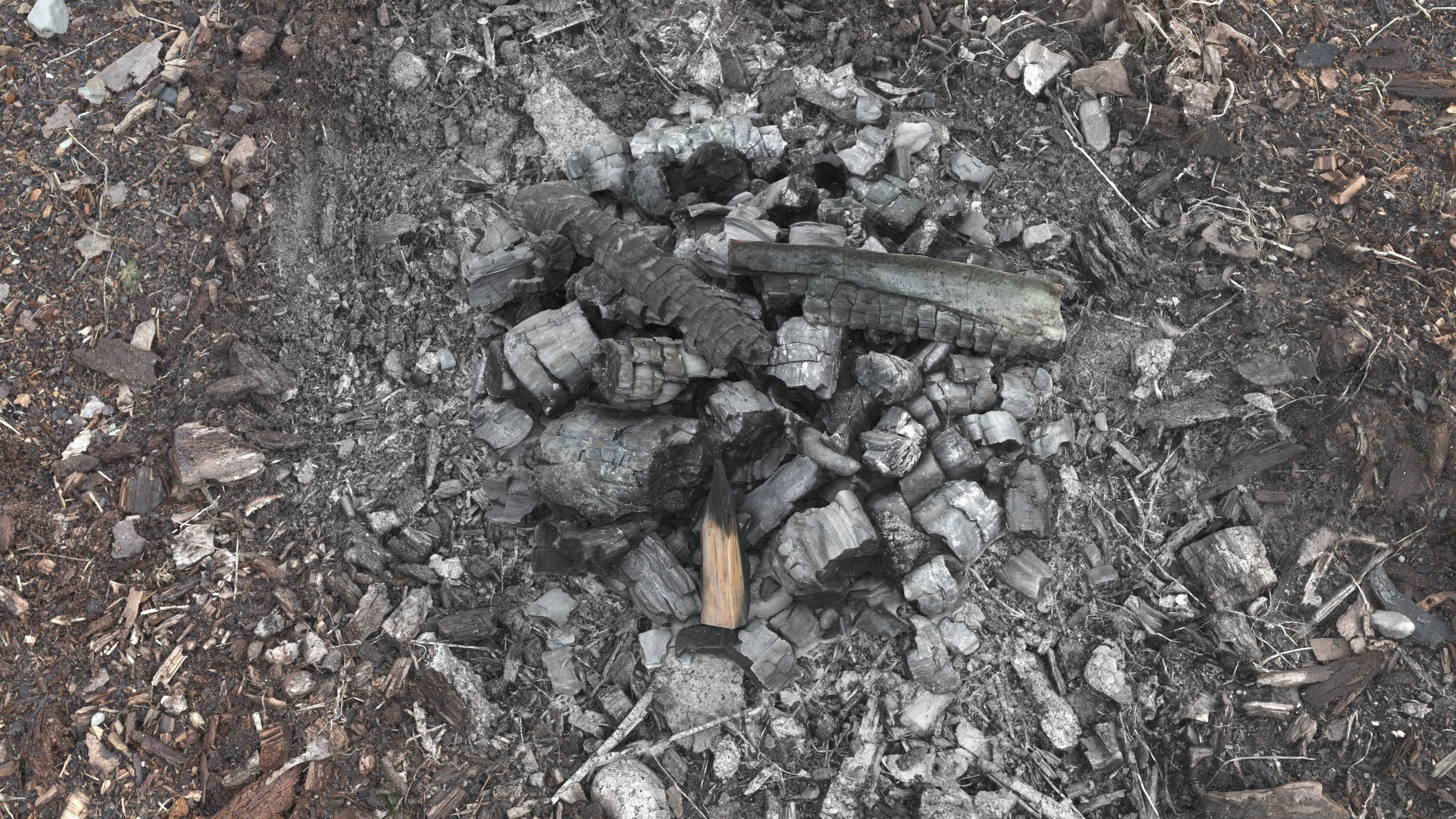 Burned Logs and Ashes Low-poly 3D model_9