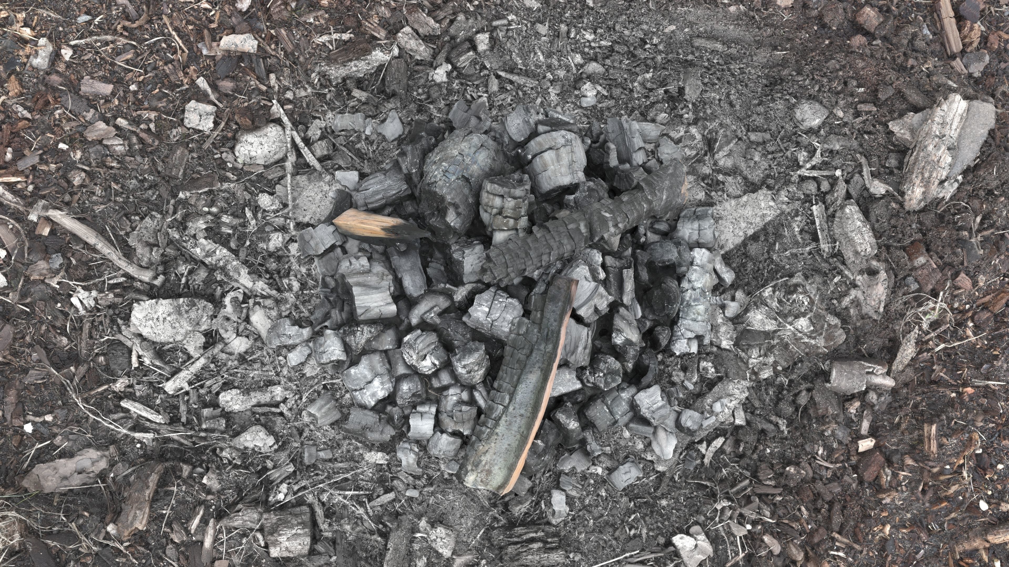 Burned Logs and Ashes Low-poly 3D model_30