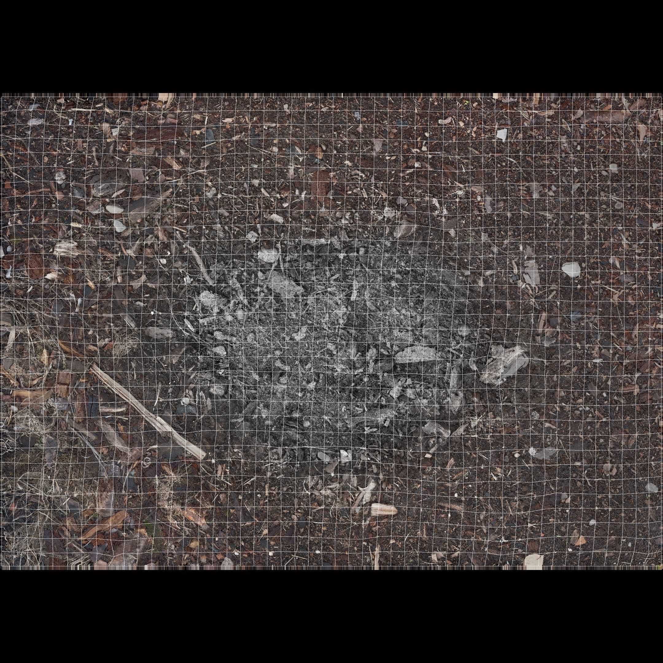 Burned Logs and Ashes Low-poly 3D model_48