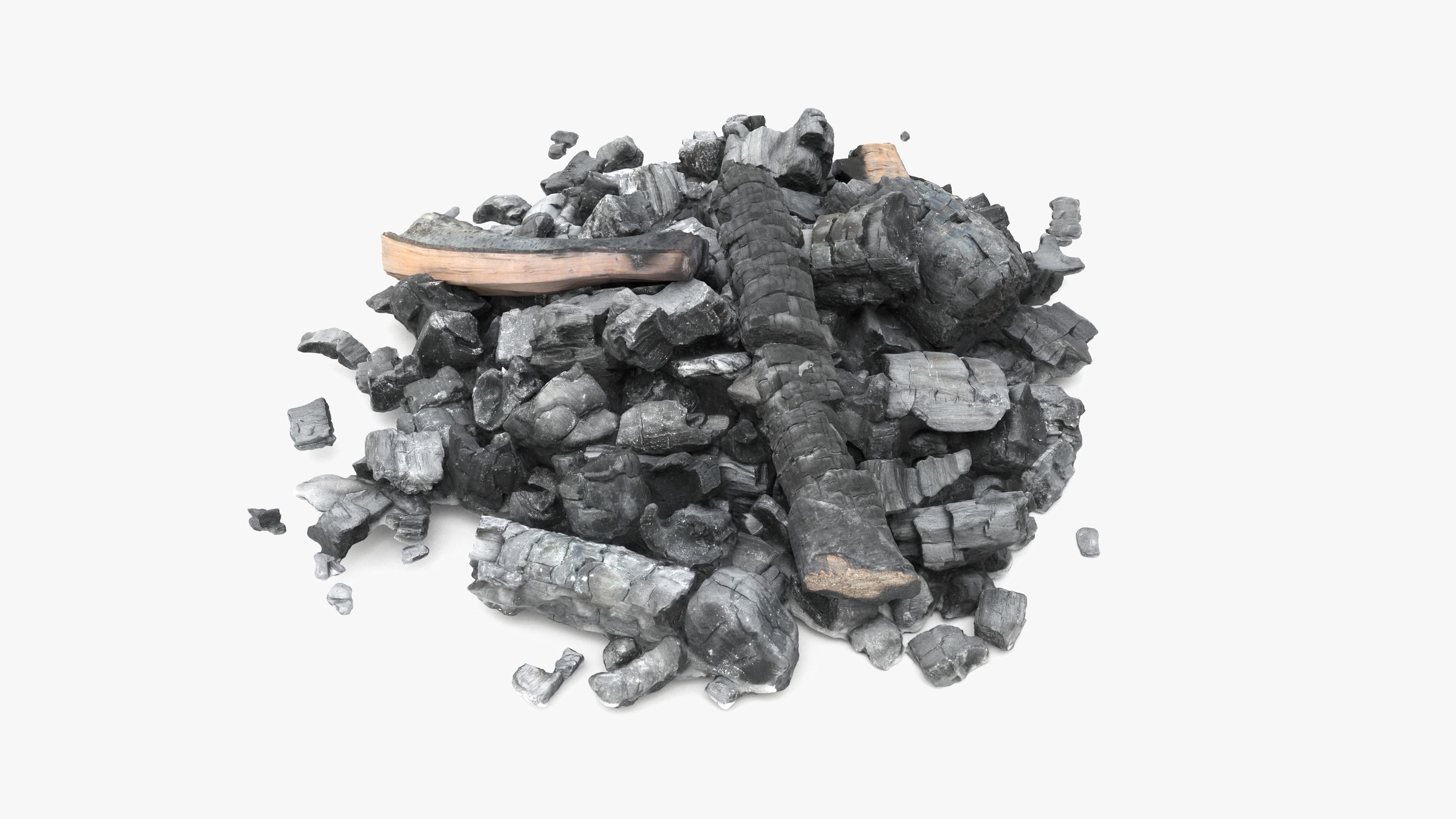 Burned Logs and Ashes Low-poly 3D model_18