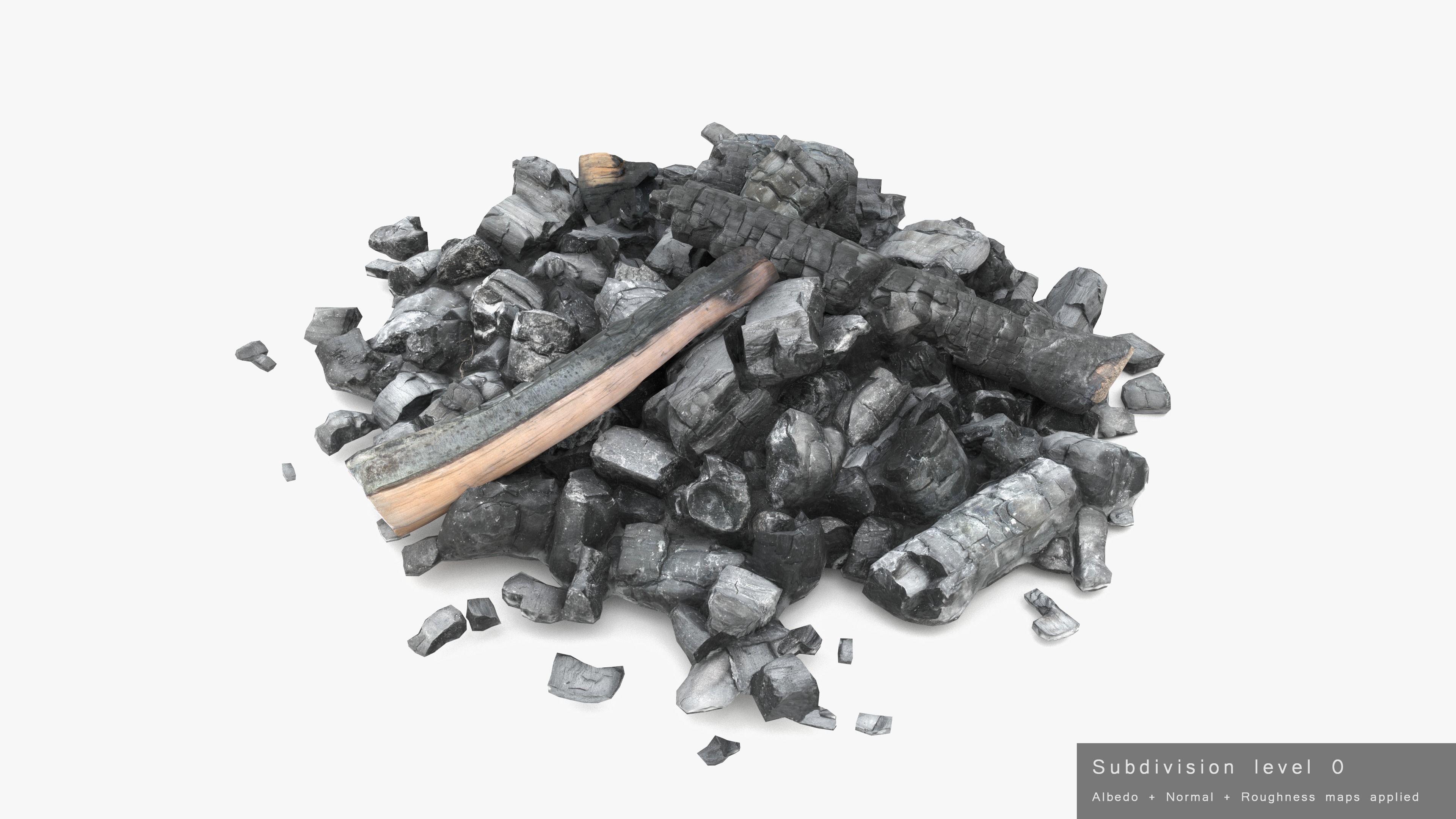 Burned Logs and Ashes Low-poly 3D model_37