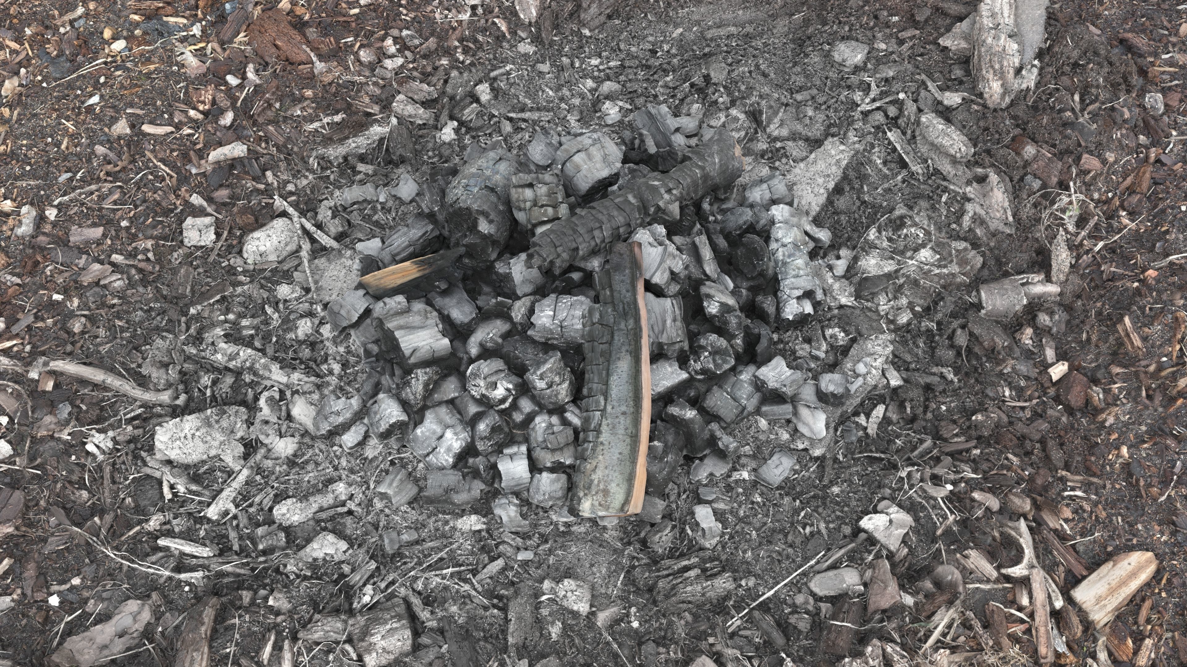 Burned Logs and Ashes Low-poly 3D model_11