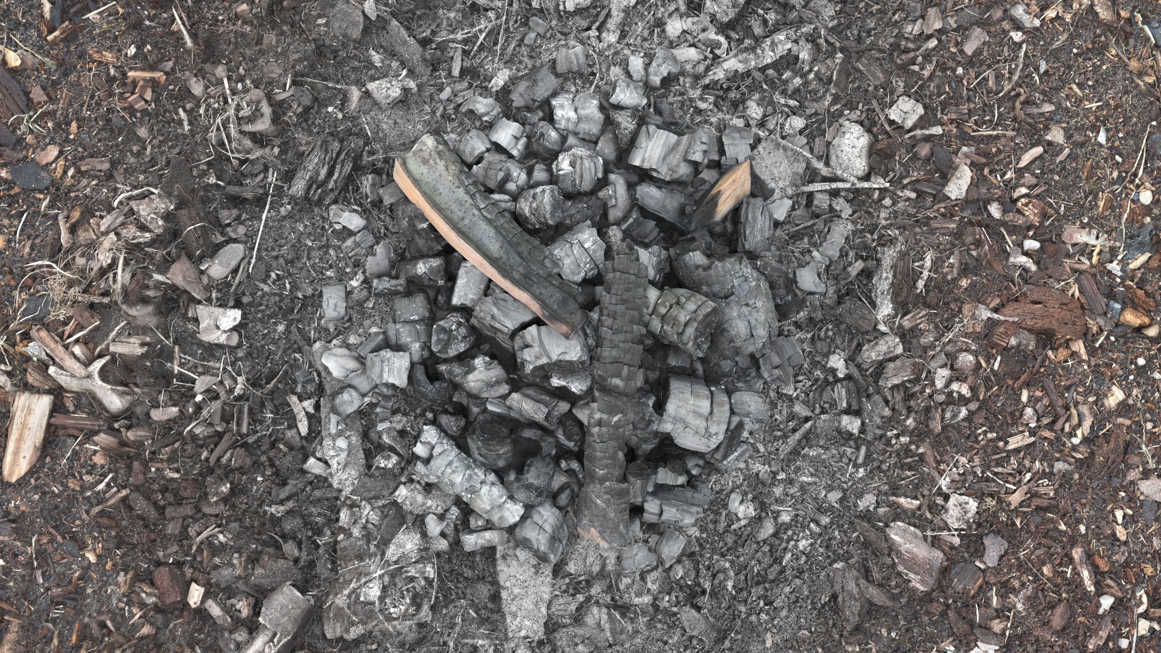 Burned Logs and Ashes Low-poly 3D model_28