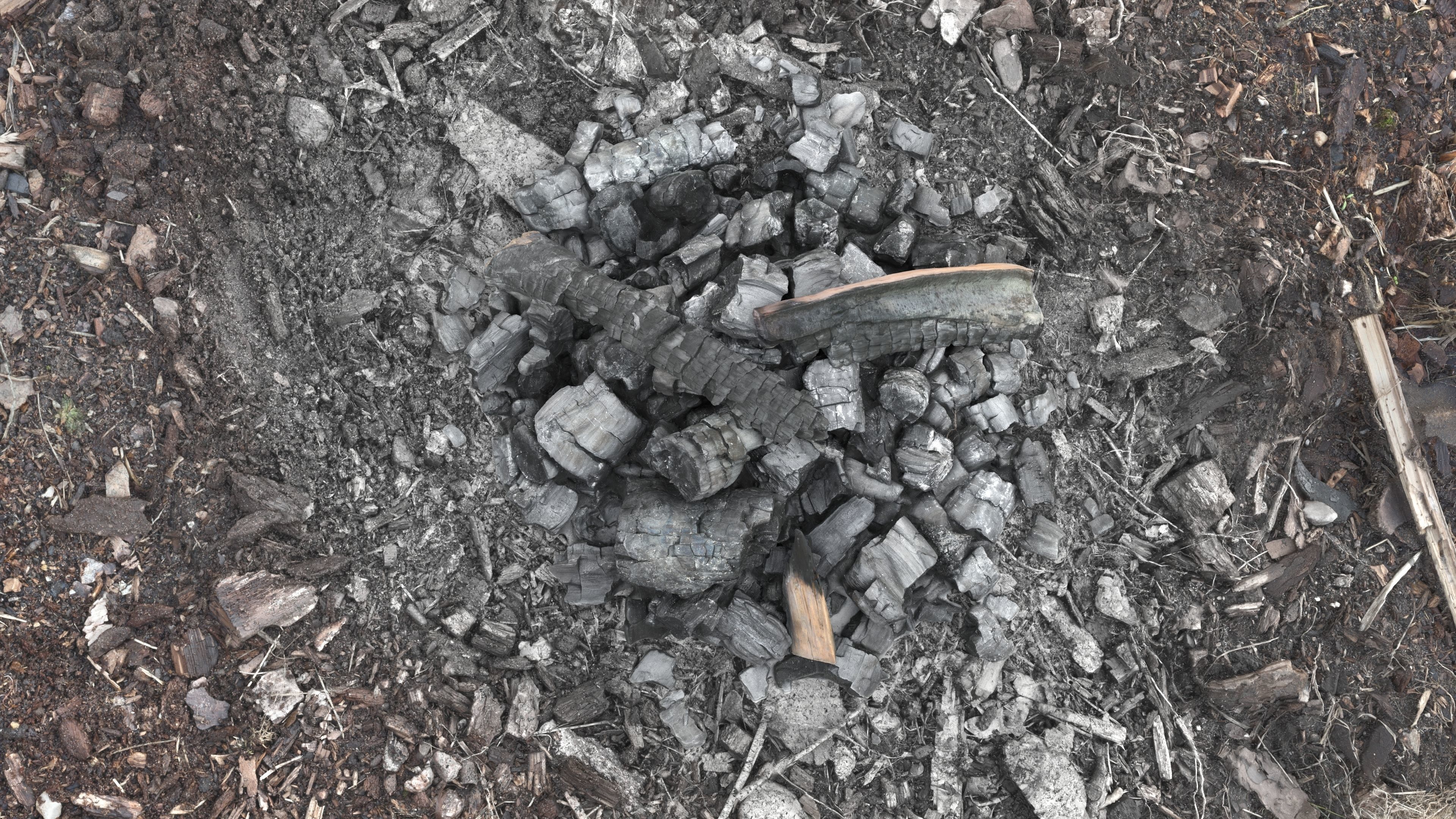 Burned Logs and Ashes Low-poly 3D model_26