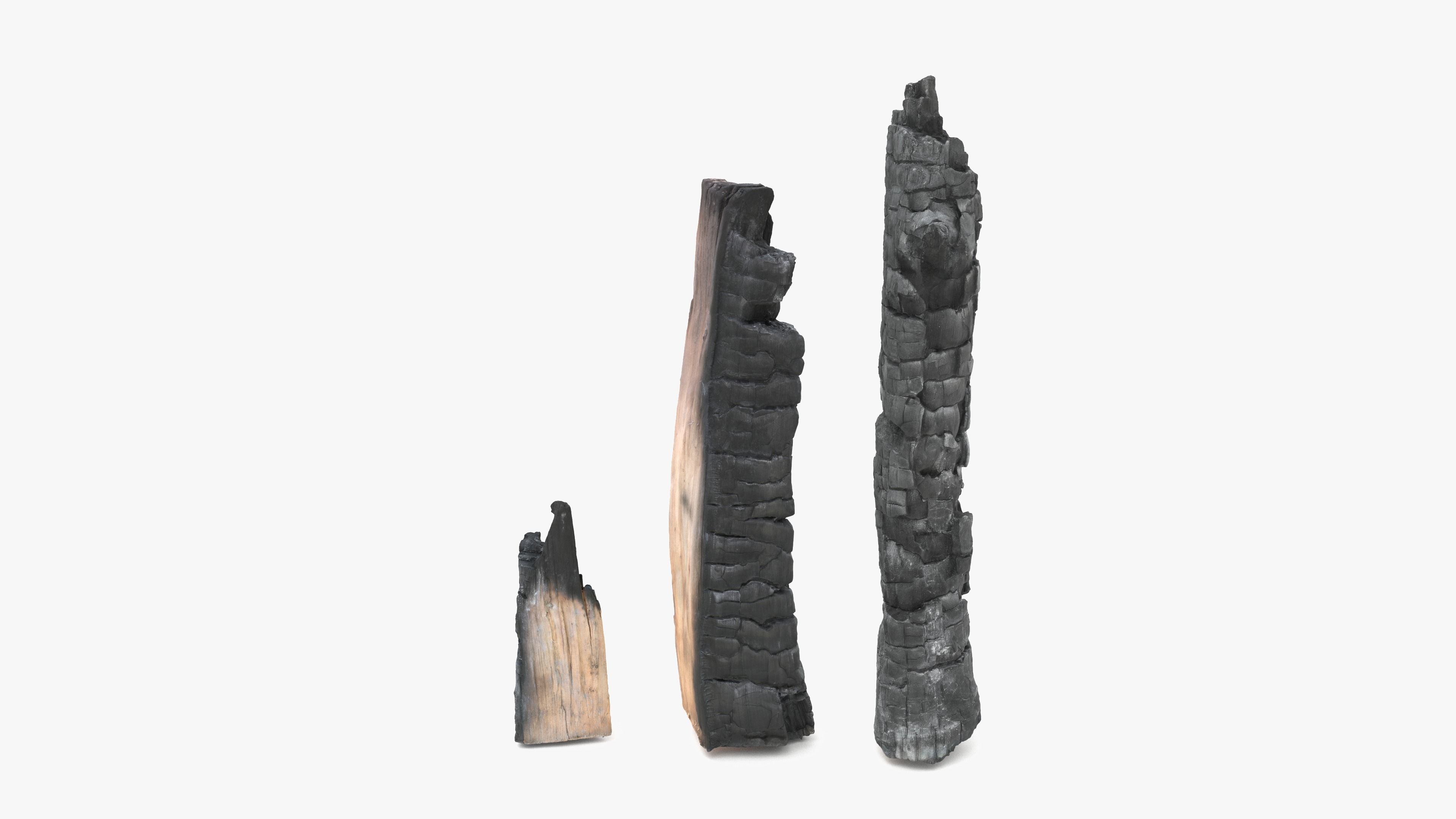 Burned Logs and Ashes Low-poly 3D model_22