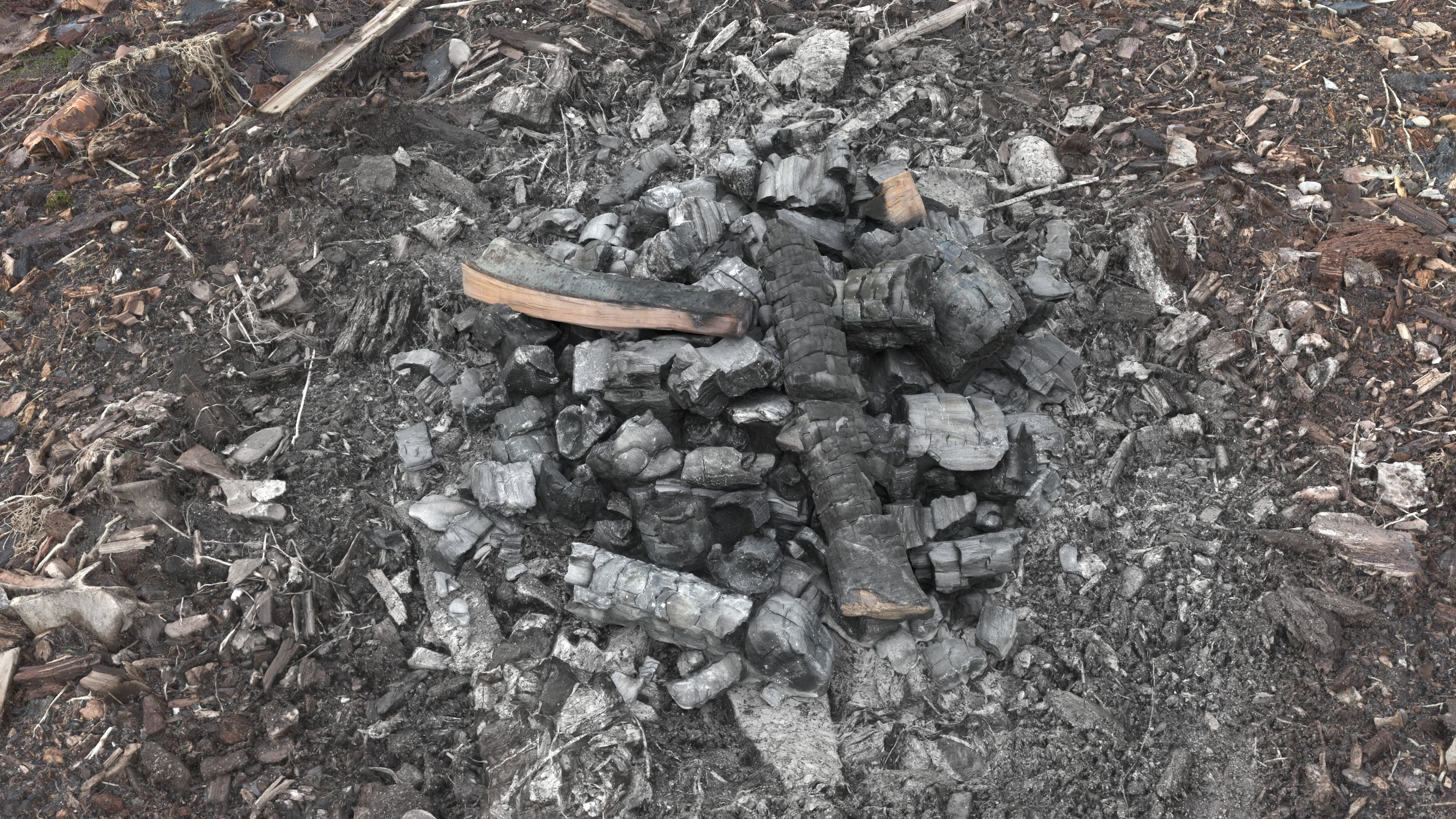 Burned Logs and Ashes Low-poly 3D model_7