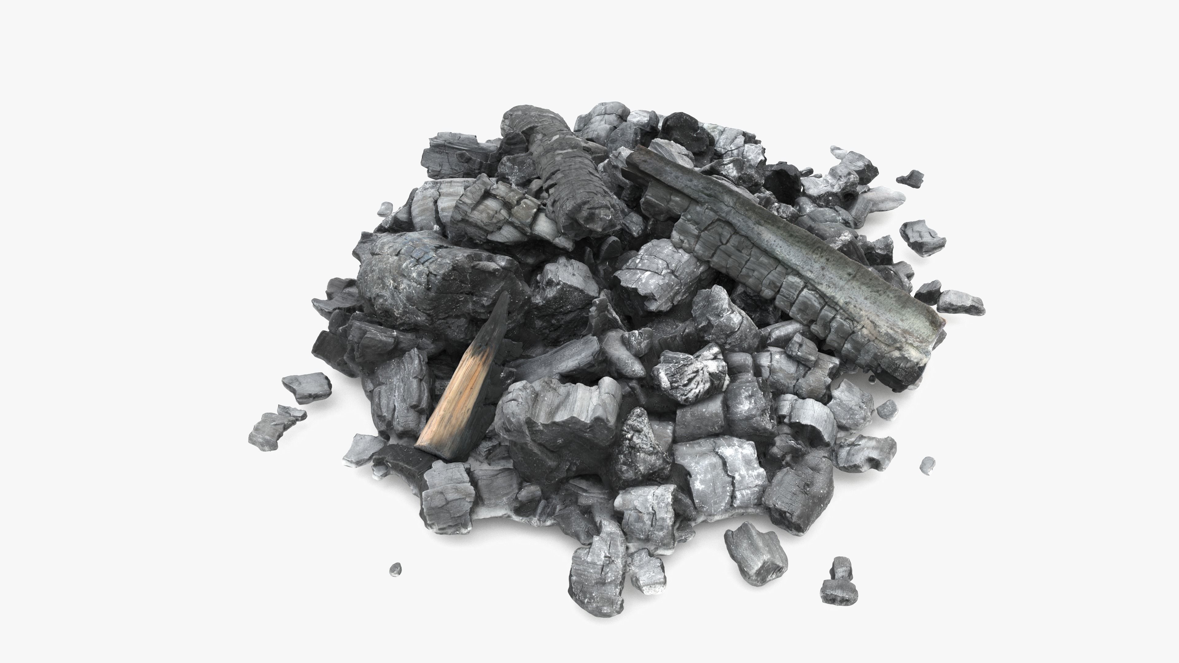 Burned Logs and Ashes Low-poly 3D model_14