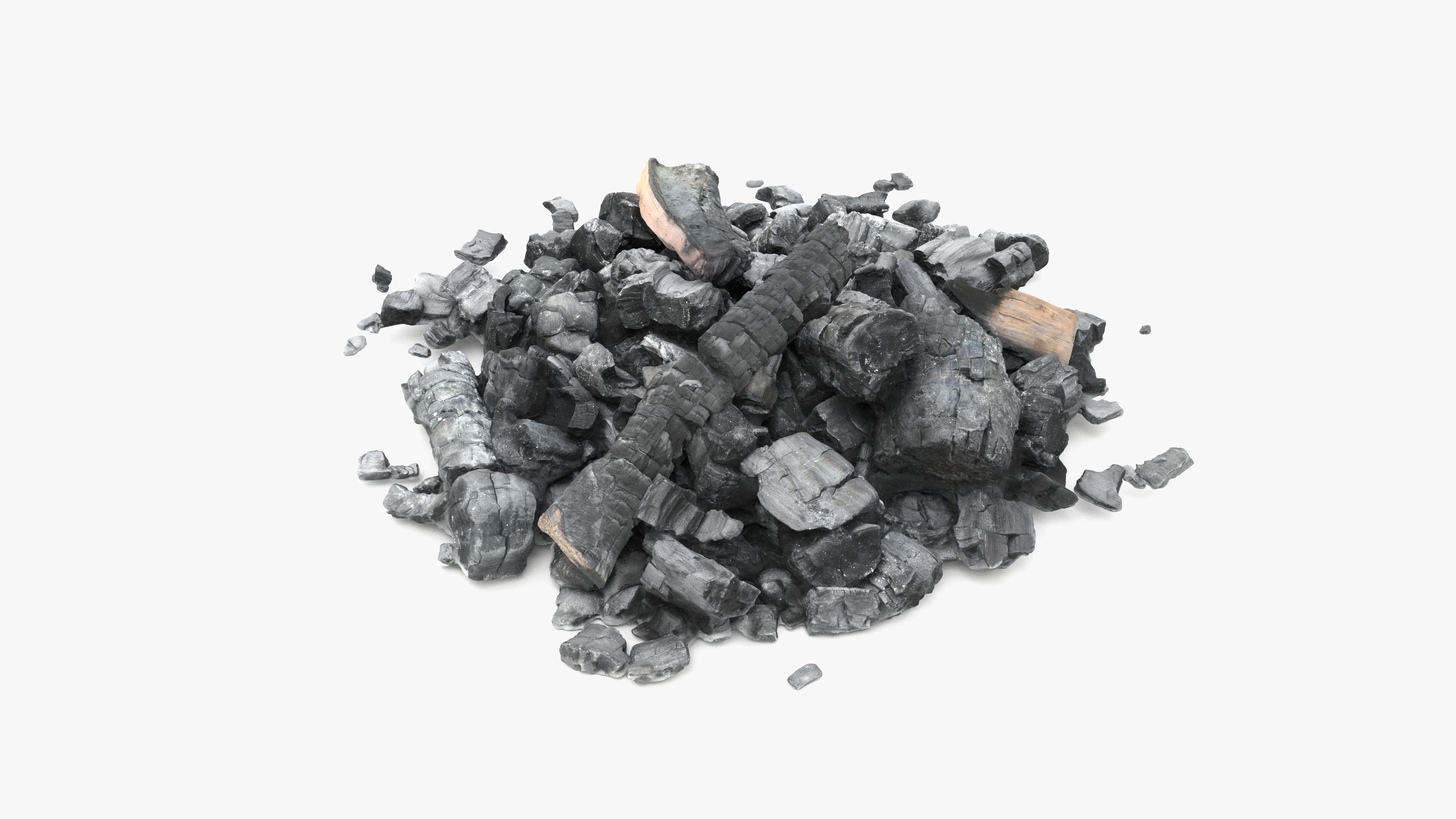 Burned Logs and Ashes Low-poly 3D model_5
