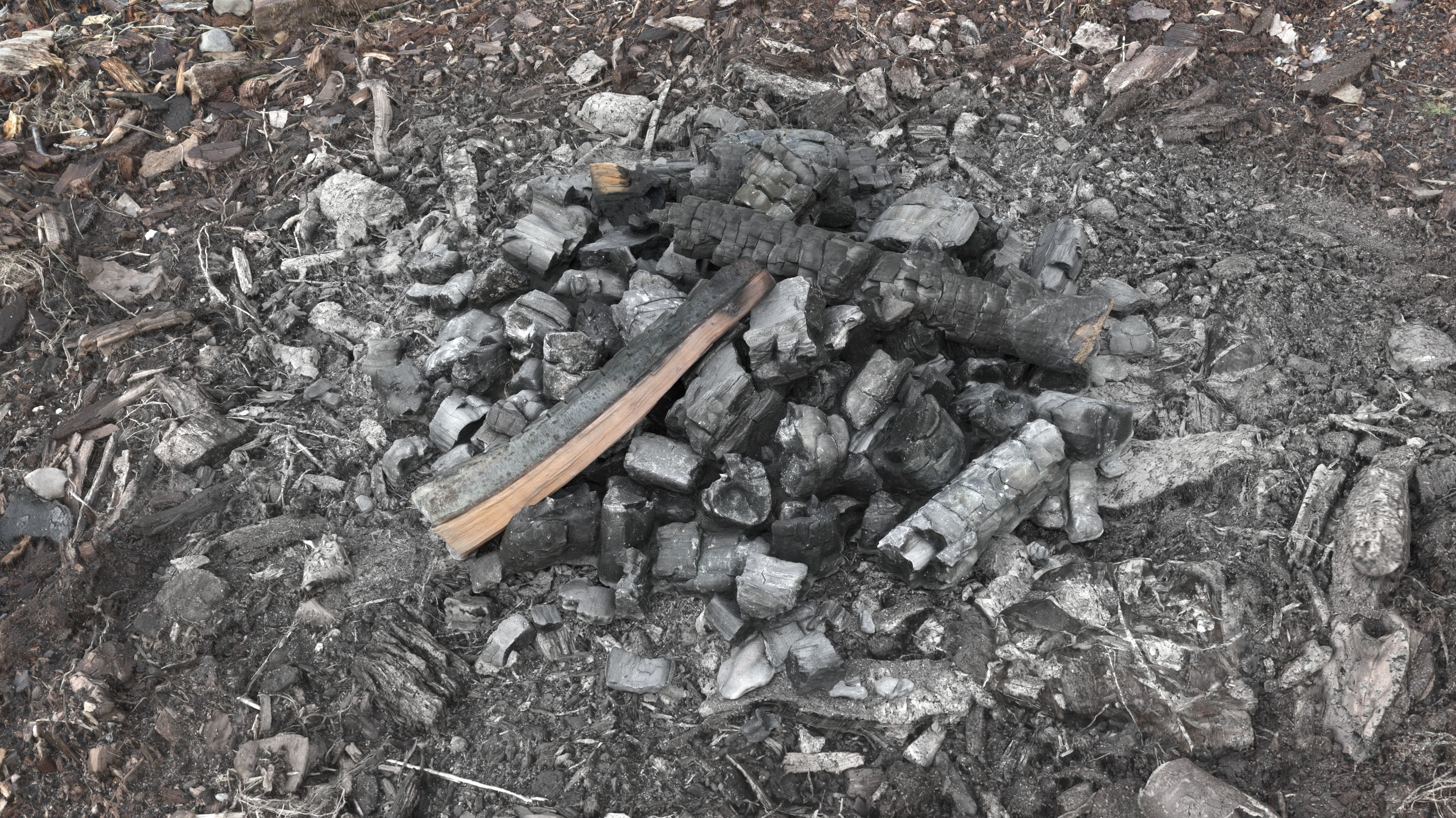 Burned Logs and Ashes Low-poly 3D model_12