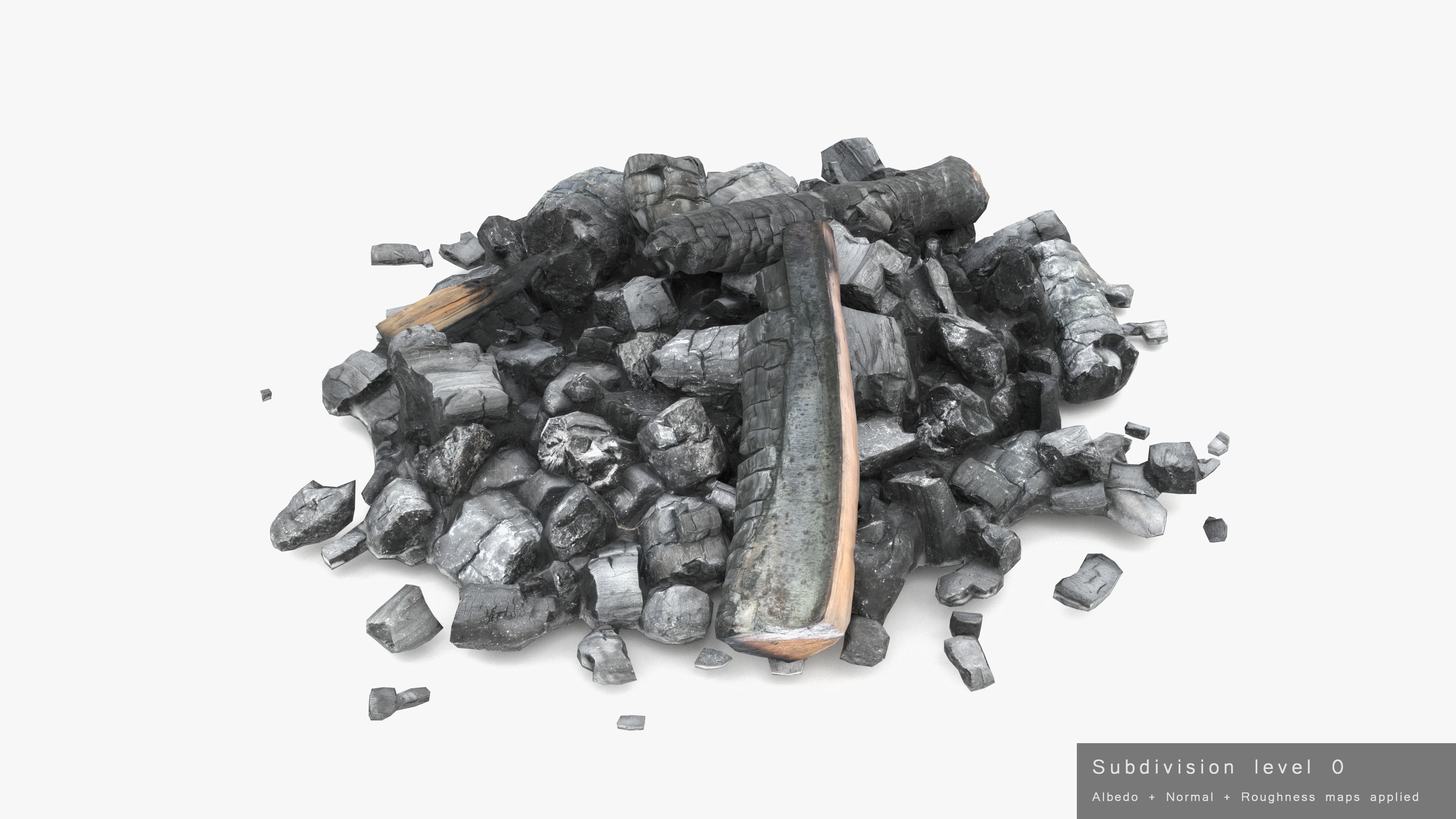 Burned Logs and Ashes Low-poly 3D model_32