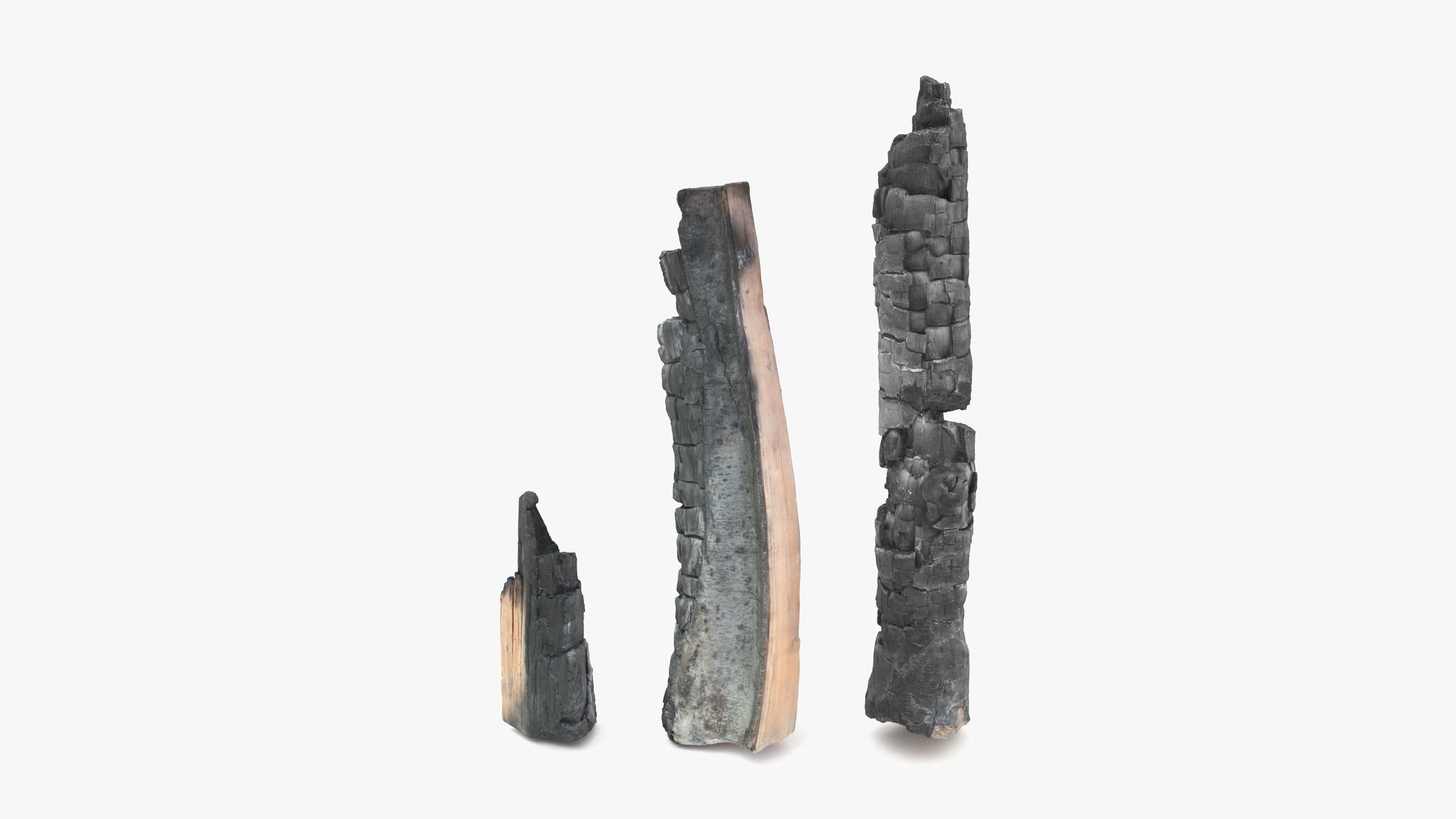 Burned Logs and Ashes Low-poly 3D model_19