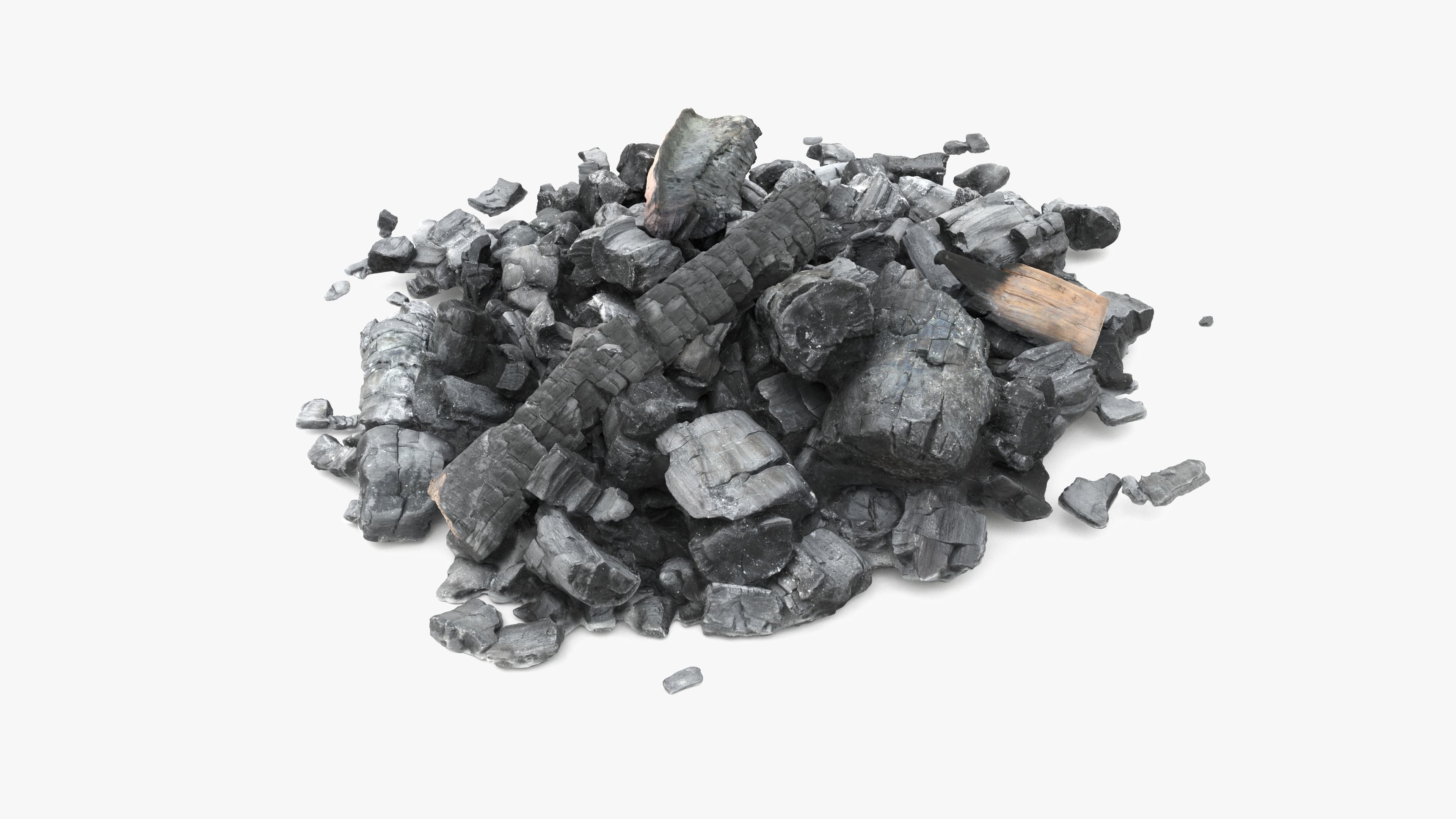 Burned Logs and Ashes Low-poly 3D model_16