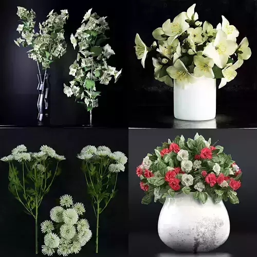 Flower collection 1 flowers