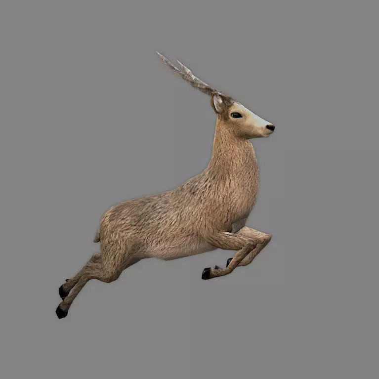 Next Gen AAA Royal Deer - Rigged Low-poly 3D model