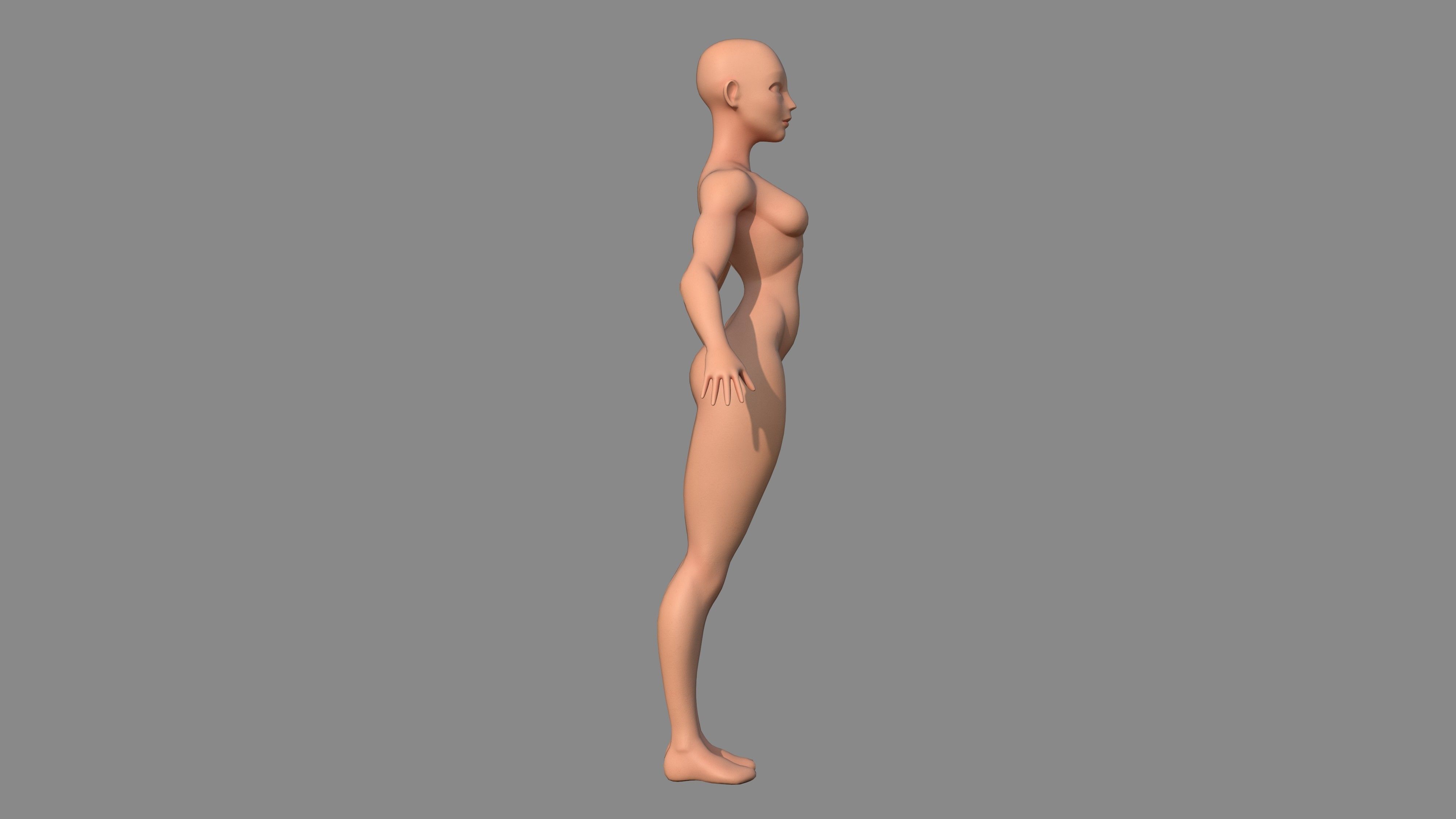 Character - Female Body Base Stylized Included High Poly Low-poly 3D model_8