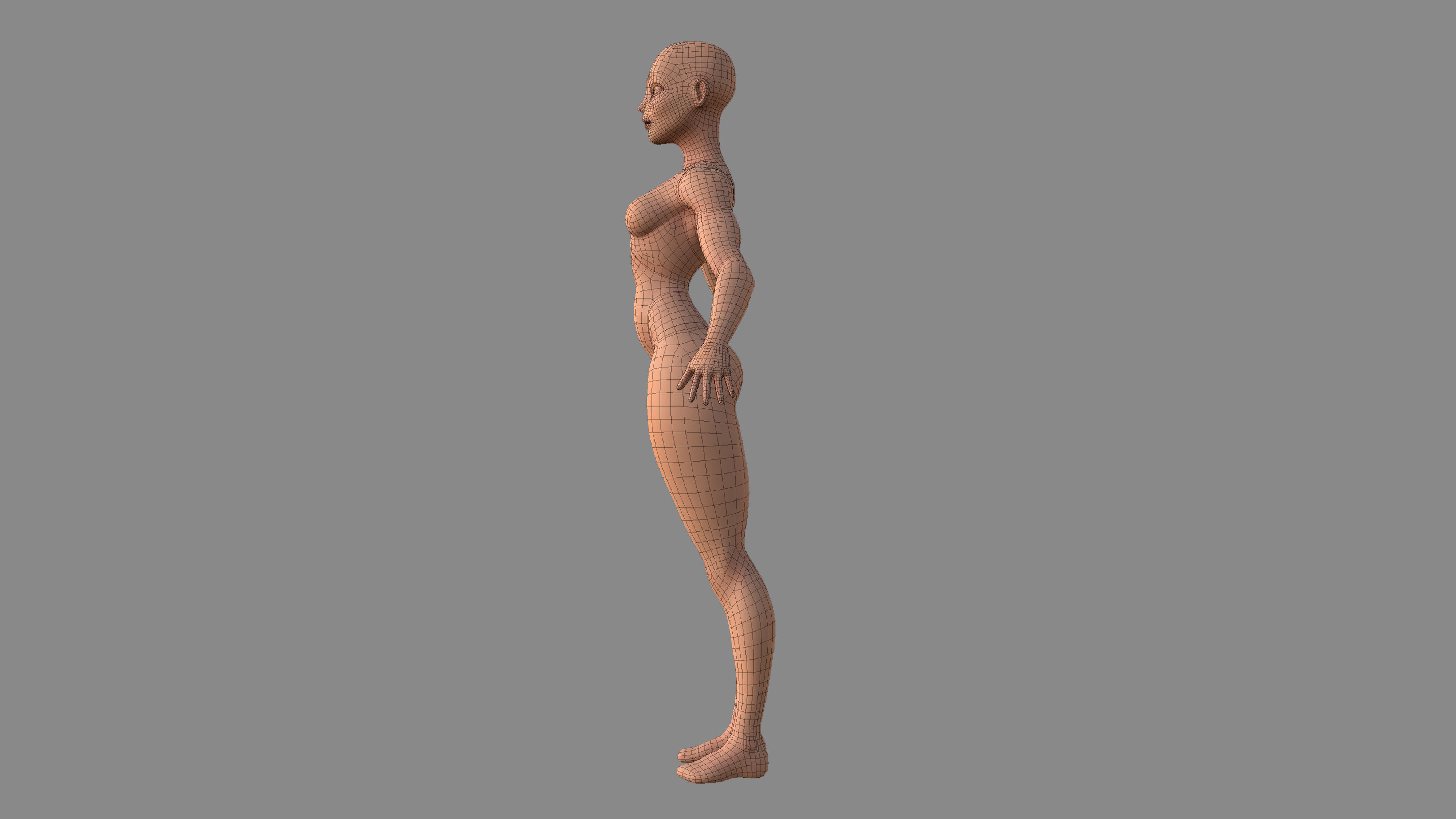 Character - Female Body Base Stylized Included High Poly Low-poly 3D model_28