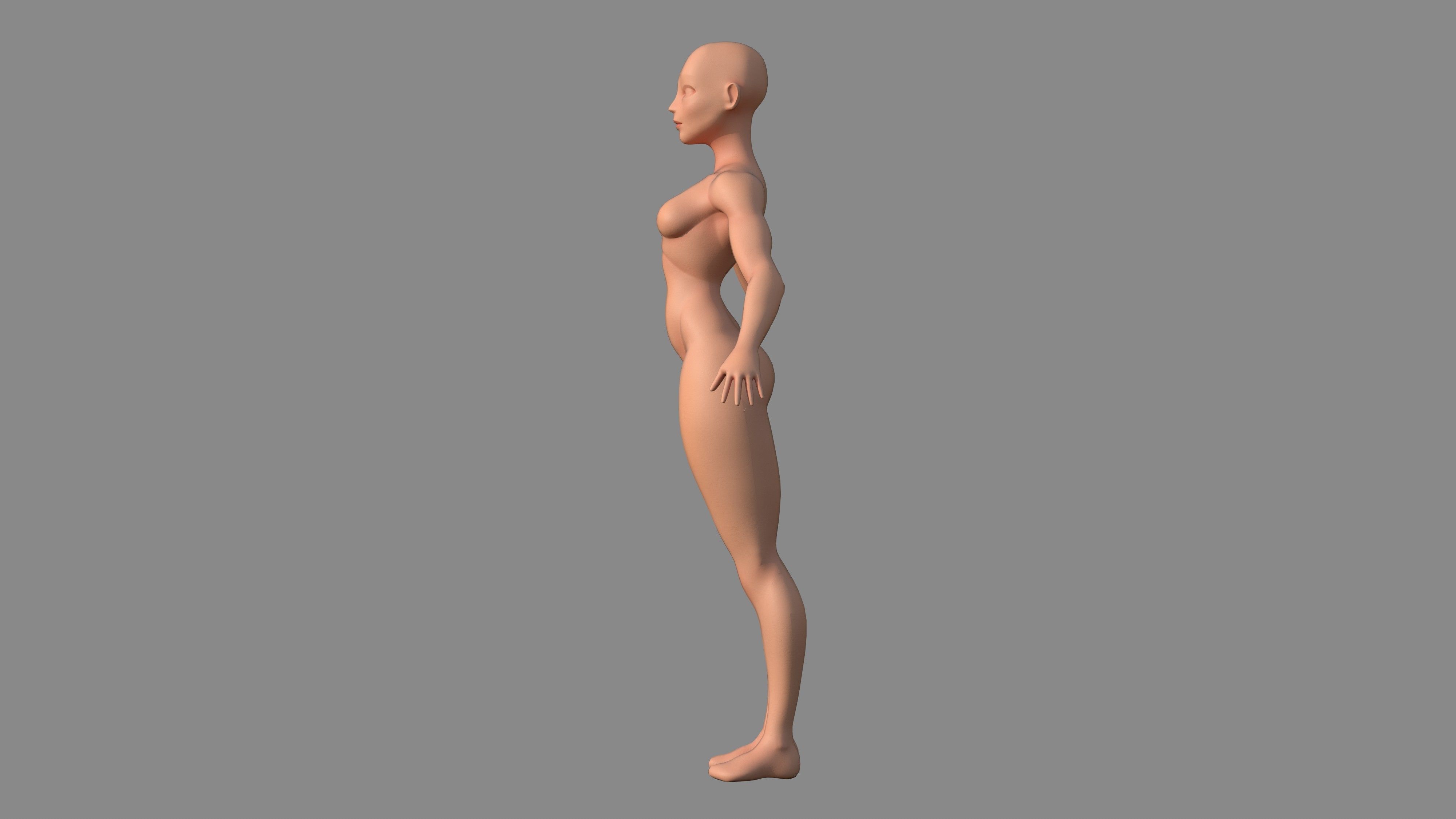 Character - Female Body Base Stylized Included High Poly Low-poly 3D model_4