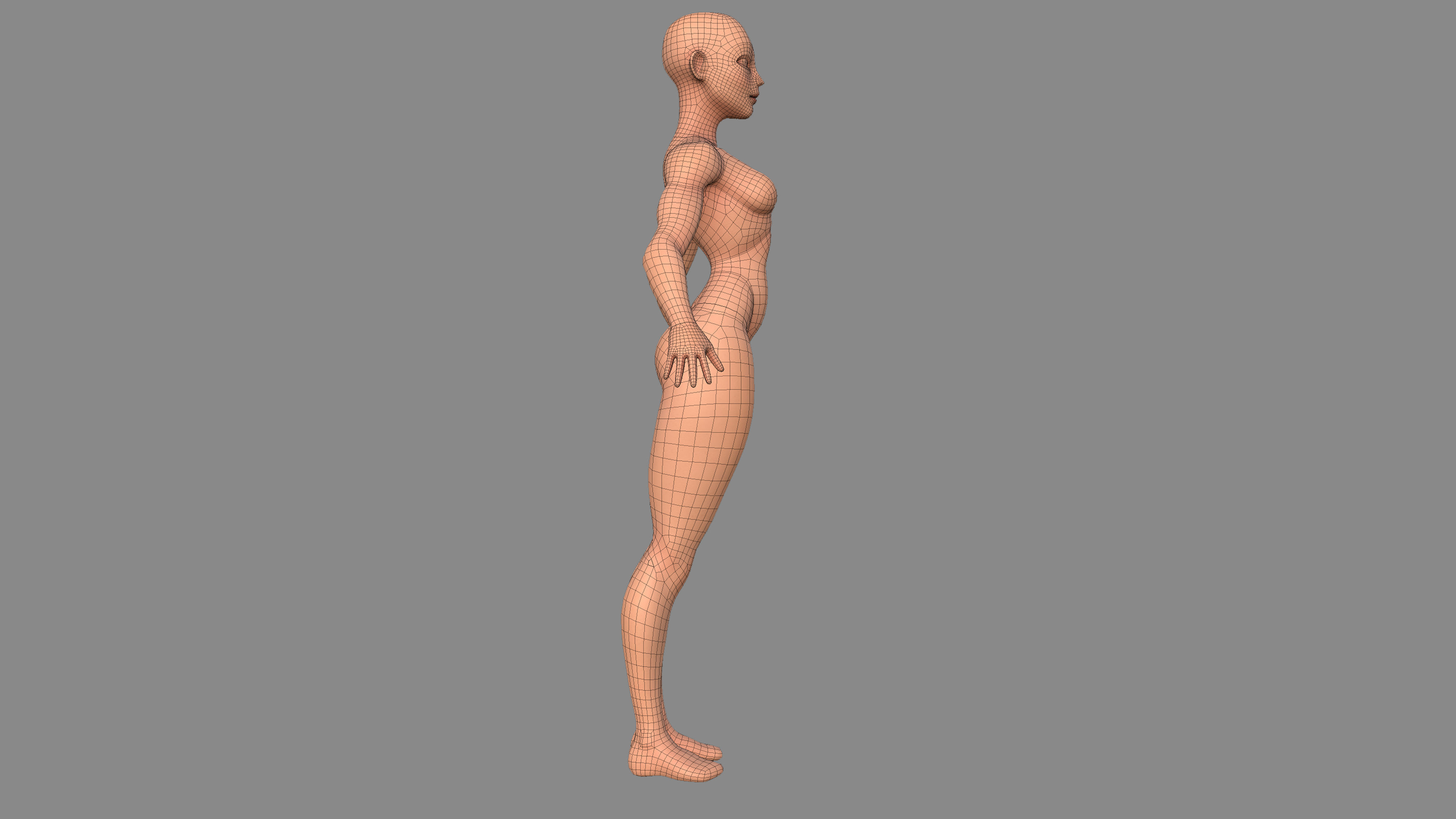 Character - Female Body Base Stylized Included High Poly Low-poly 3D model_32
