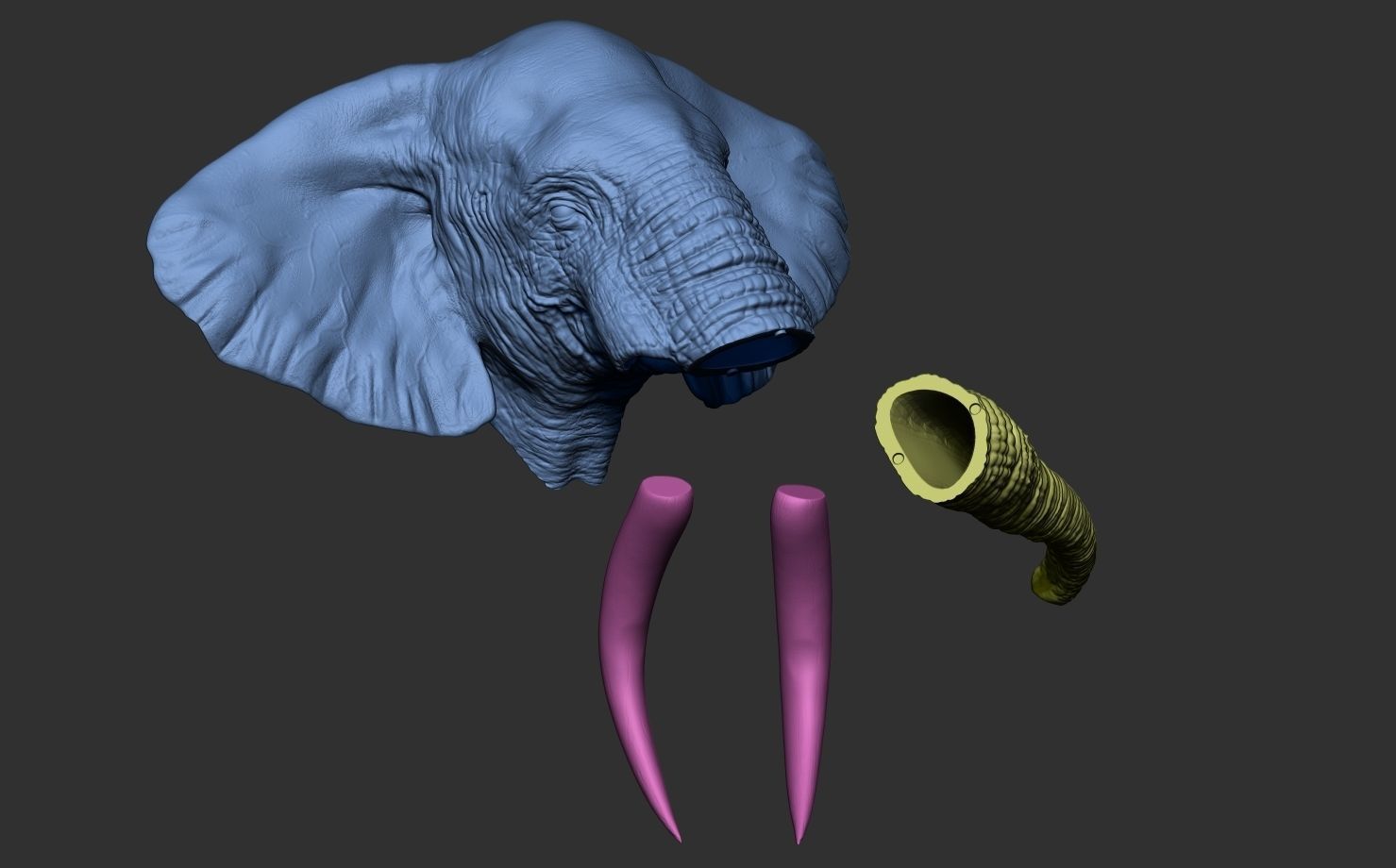 Elephant Head 3D print model_17