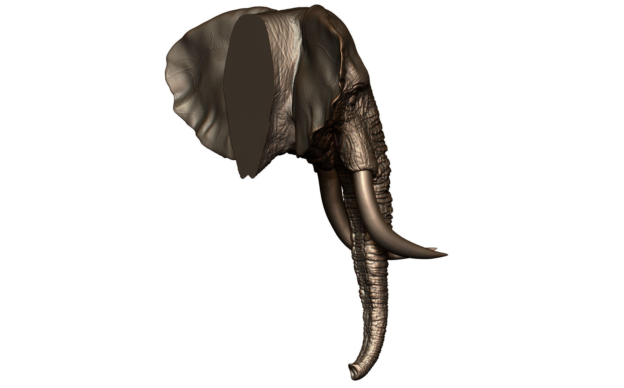 Elephant Head 3D print model_5