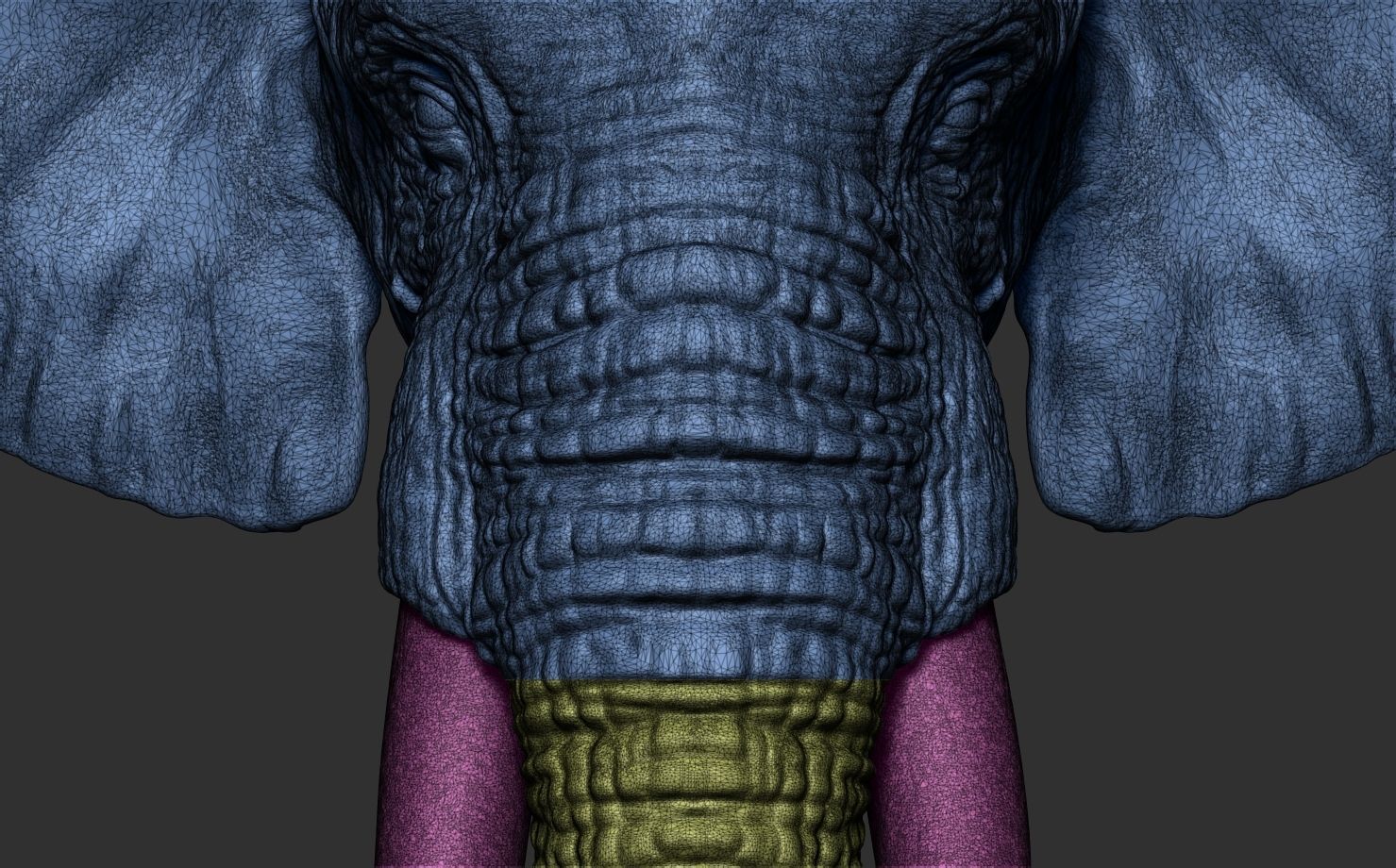 Elephant Head 3D print model_21