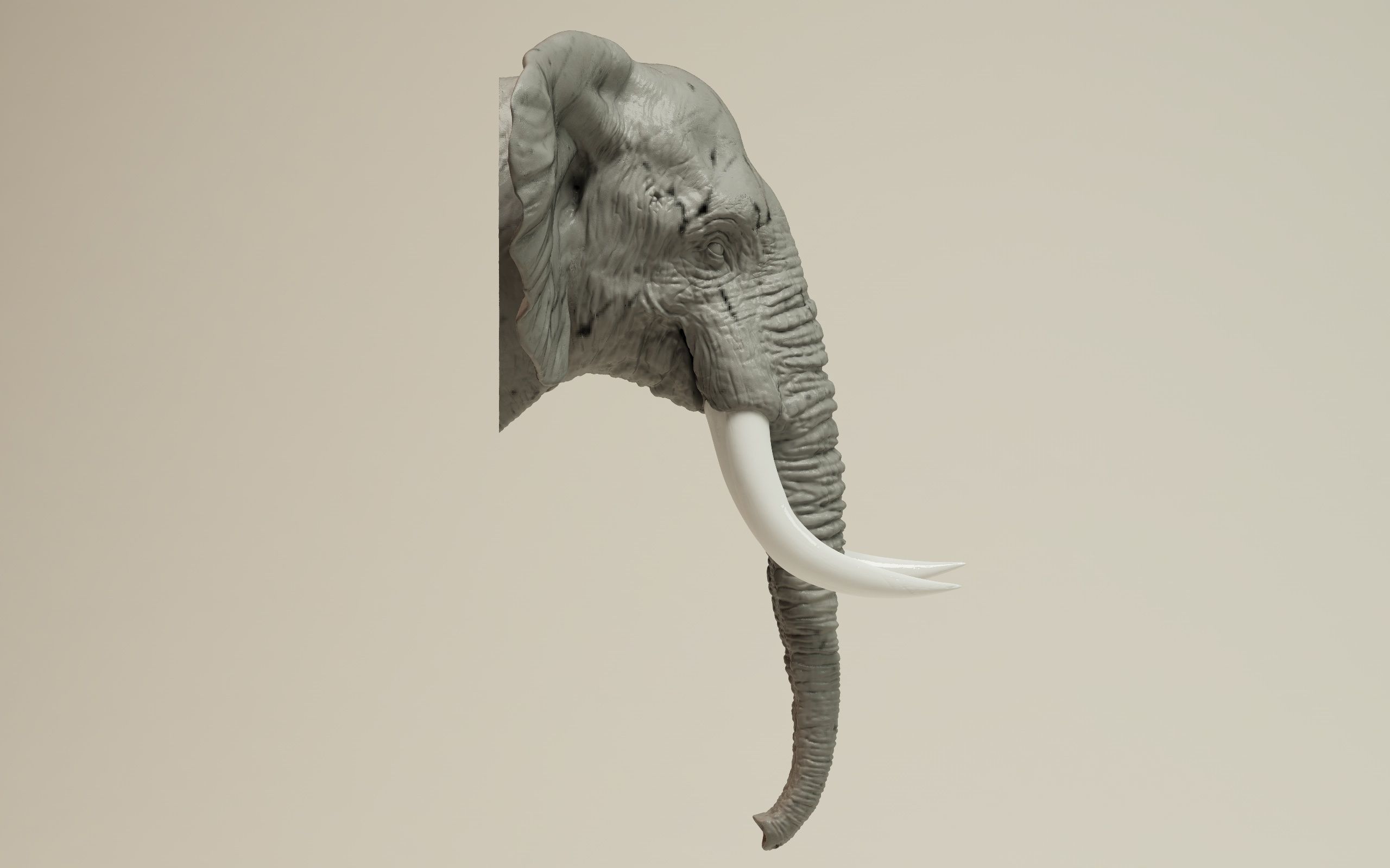 Elephant Head 3D print model_14