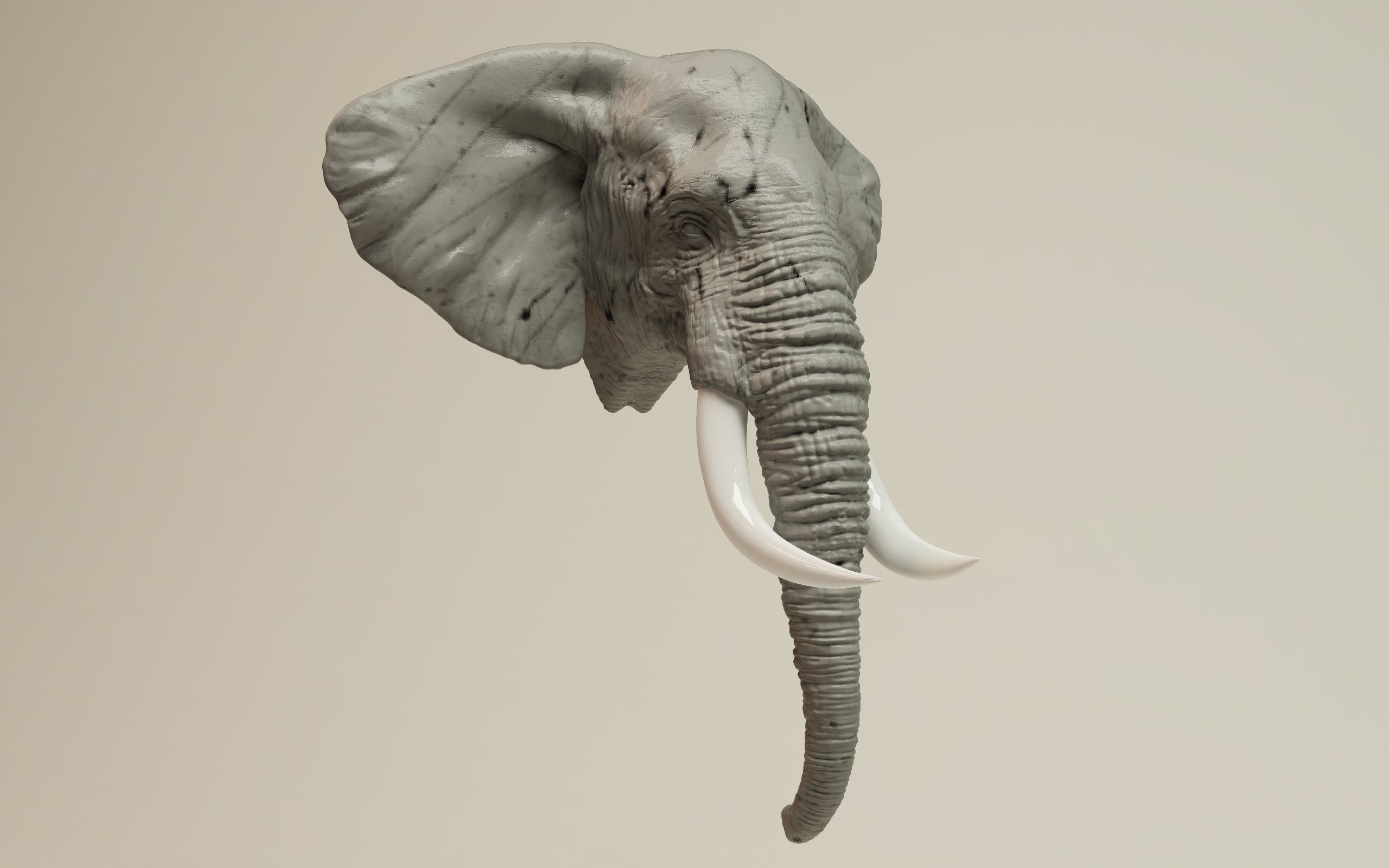 Elephant Head 3D print model_15