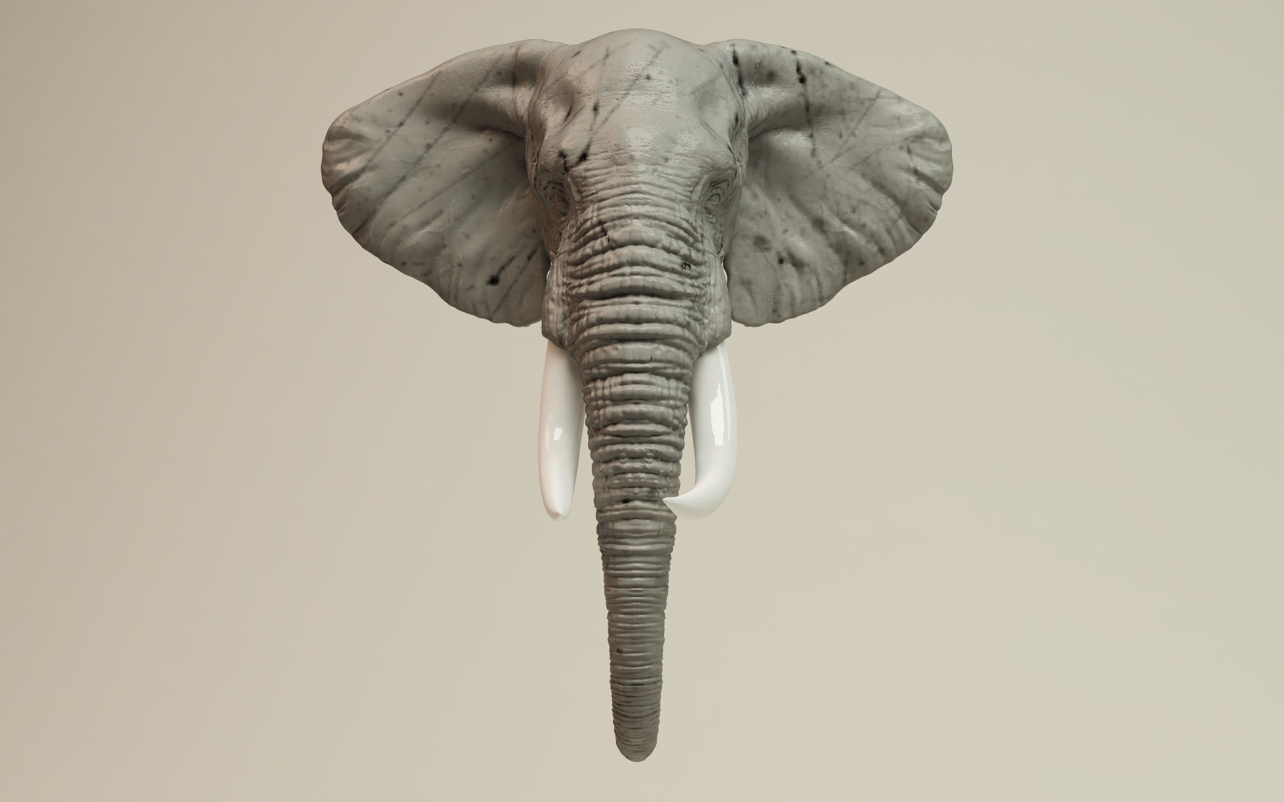 Elephant Head 3D print model_8