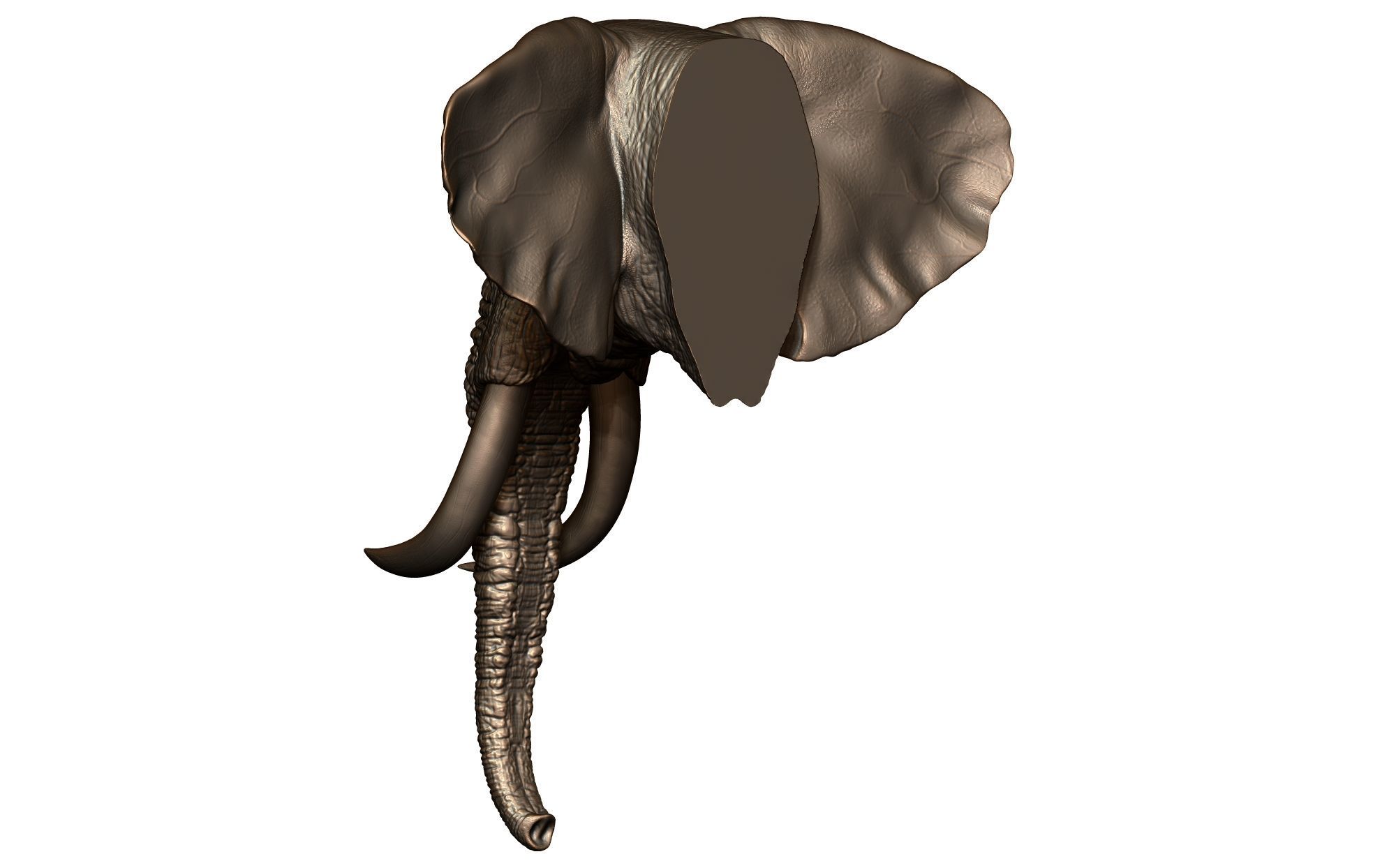 Elephant Head 3D print model_3