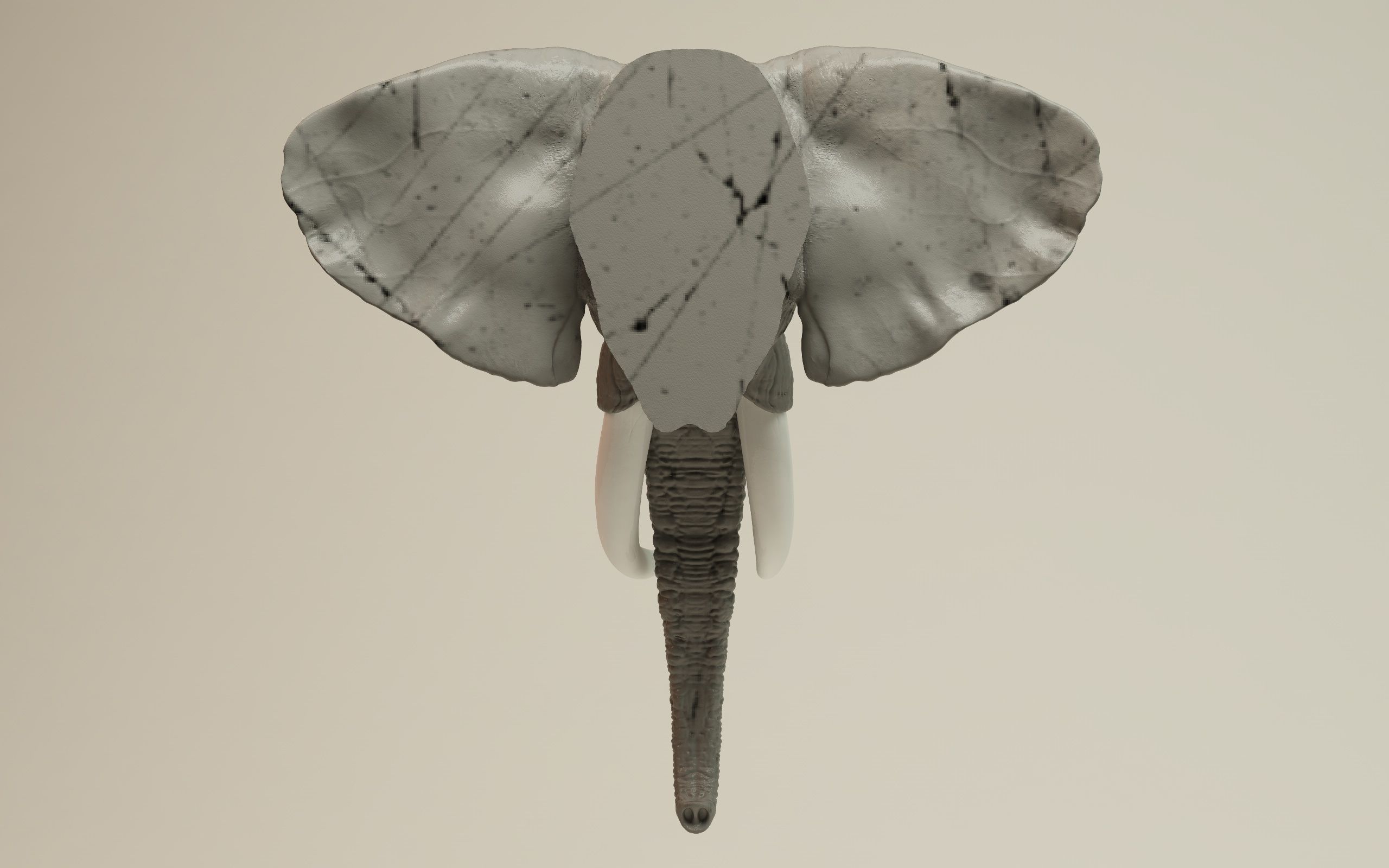 Elephant Head 3D print model_12