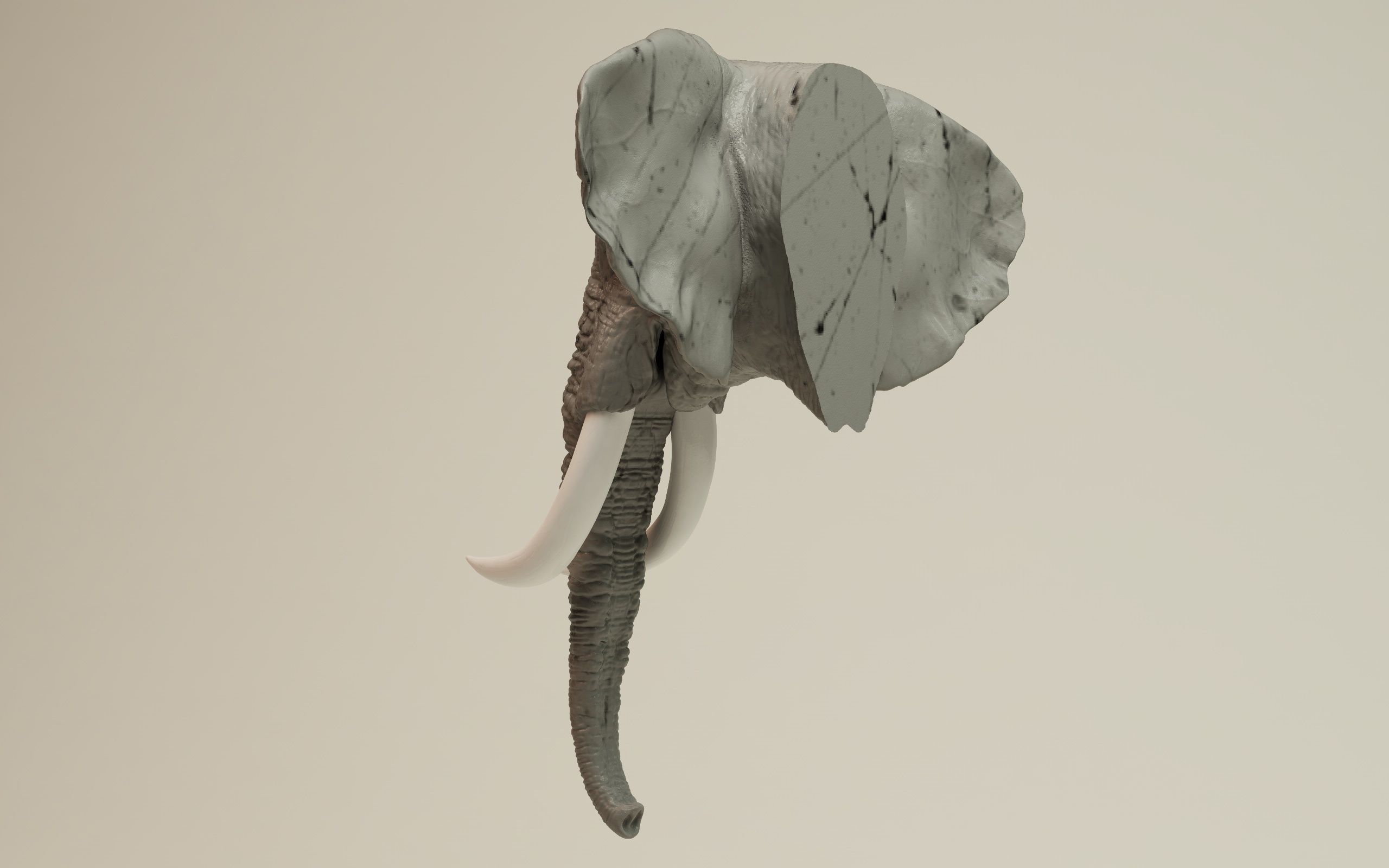 Elephant Head 3D print model_11
