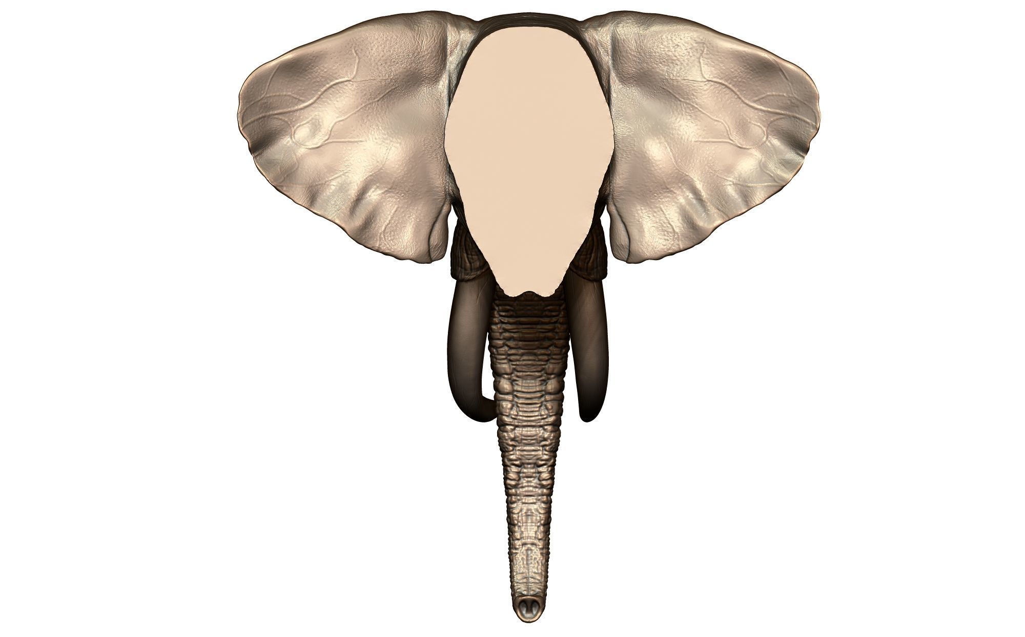 Elephant Head 3D print model_4