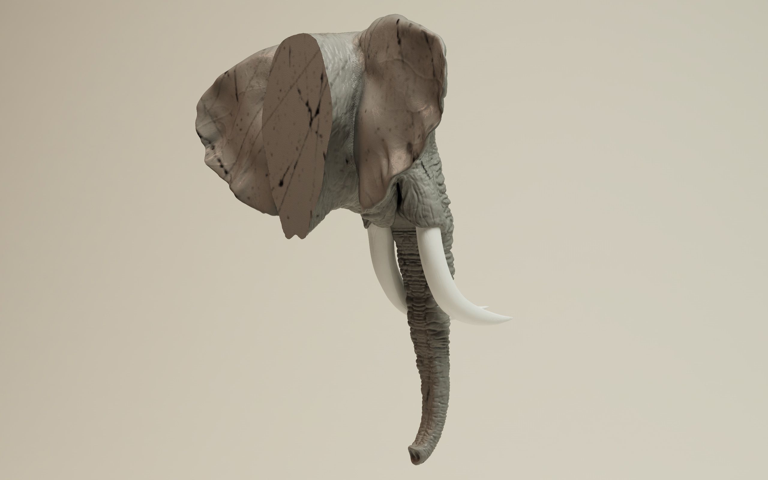 Elephant Head 3D print model_13