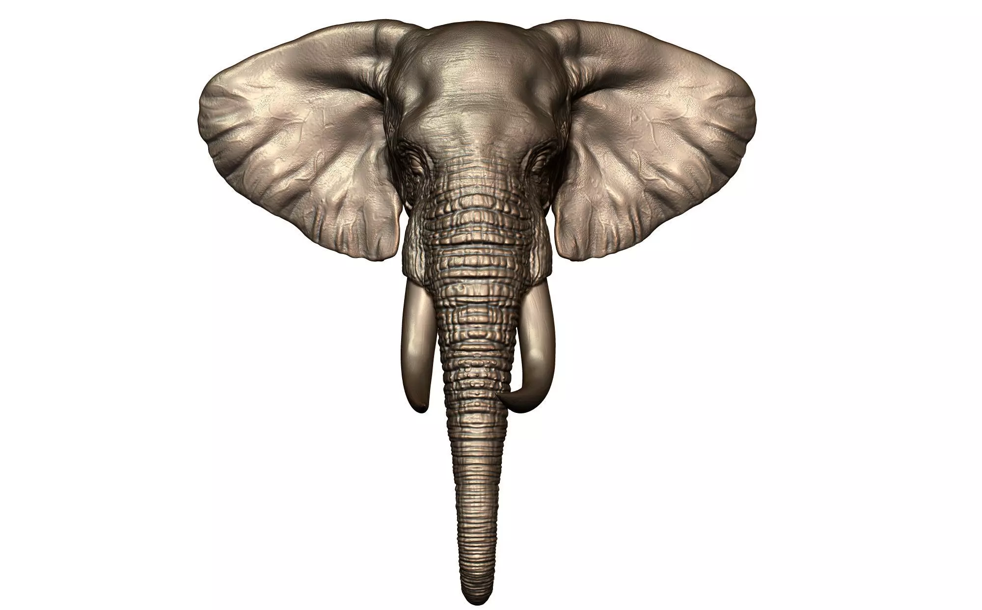 Elephant Head 3D print model_0