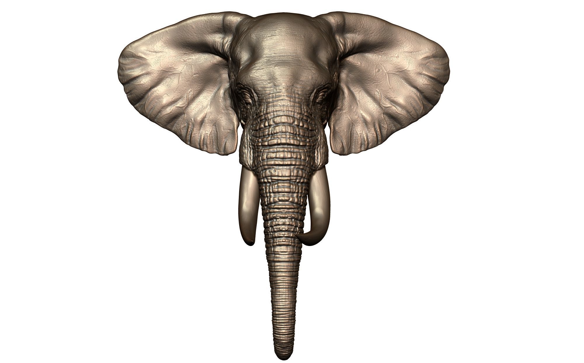 Elephant Head 3D model 3D printable | CGTrader