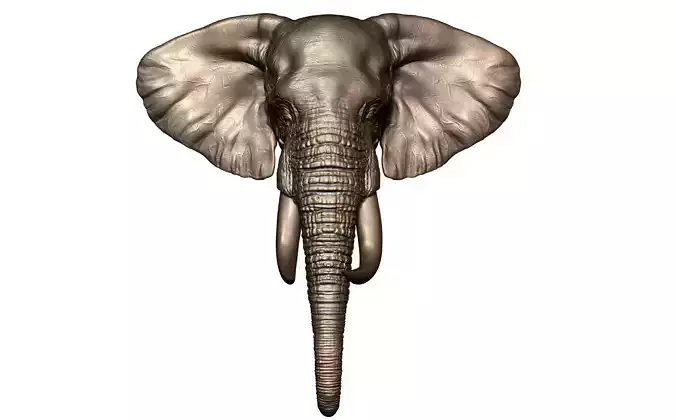 Elephant Head 3D print model