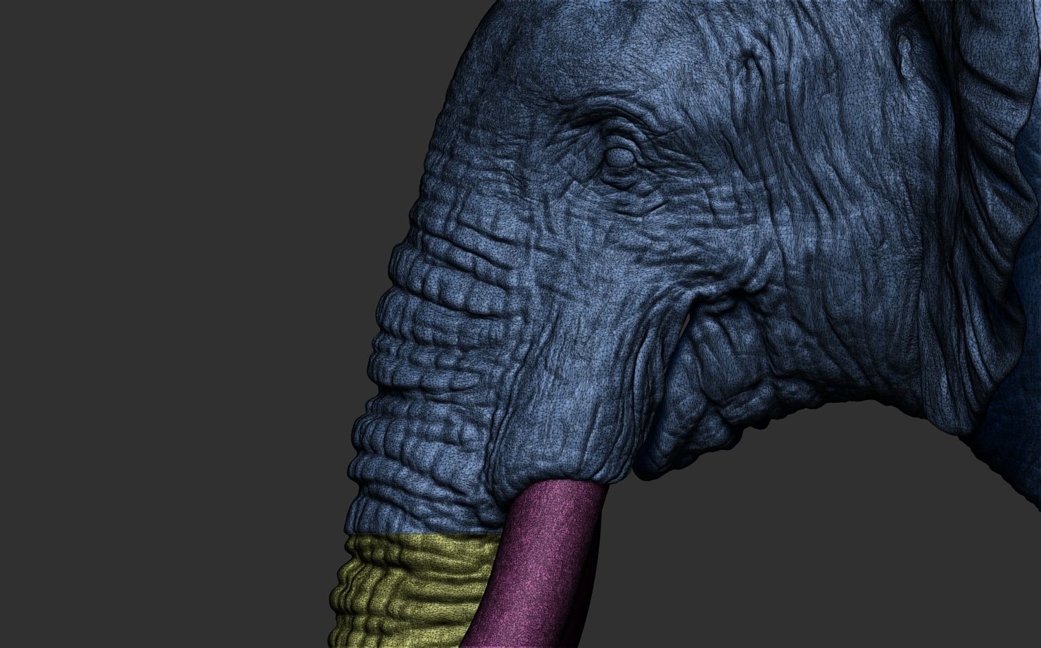 Elephant Head 3D print model_20