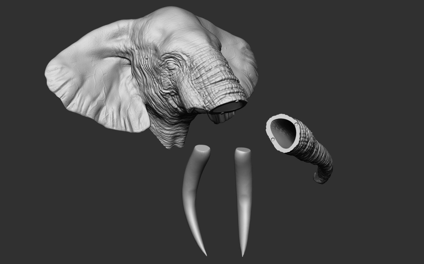 Elephant Head 3D print model_18