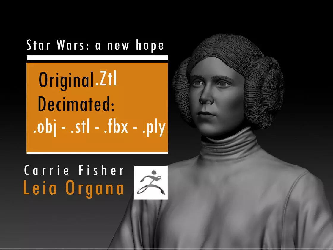 Carrie Fisher - Leia Organa - Star Wars A new hope 3D print model_0