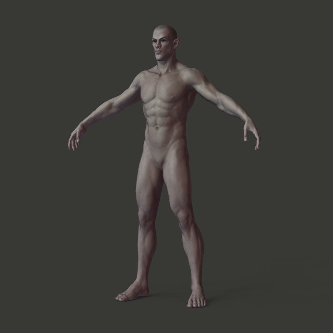 Next Gen AAA Half-blood Elf Humanoid Low-poly 3D model_1
