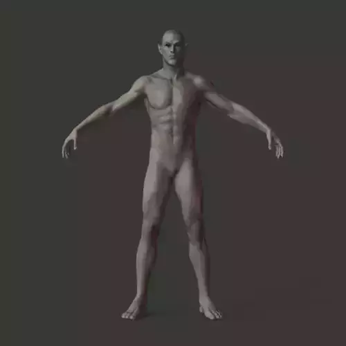 Next Gen AAA Half-blood Elf Humanoid