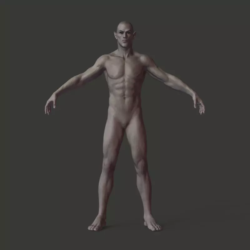 Next Gen AAA Half-blood Elf Humanoid Low-poly 3D model_0