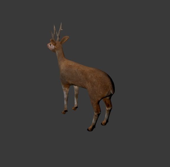 Roe Deer Stag - game model Low-poly 3D model_2