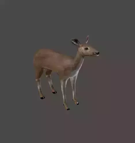 Roe Deer Doe - game model