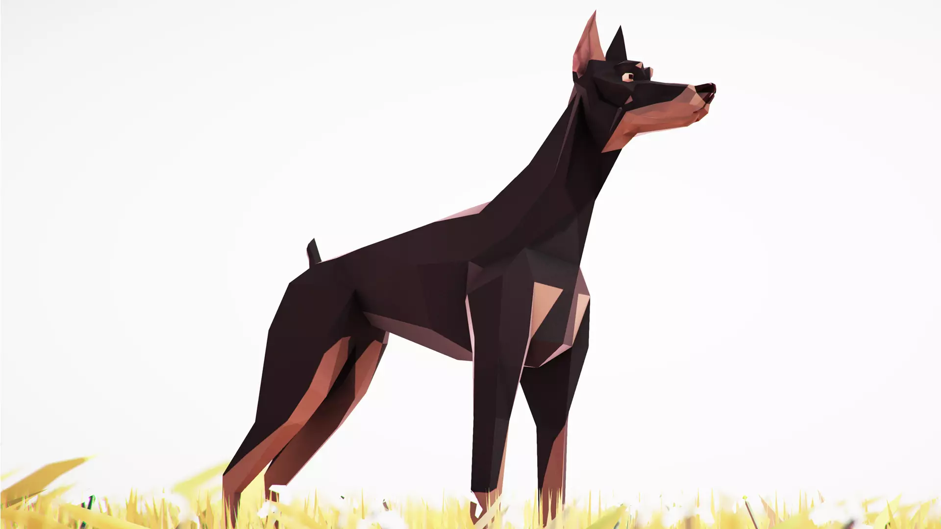 Dog Doberman Low-poly 3D model_0