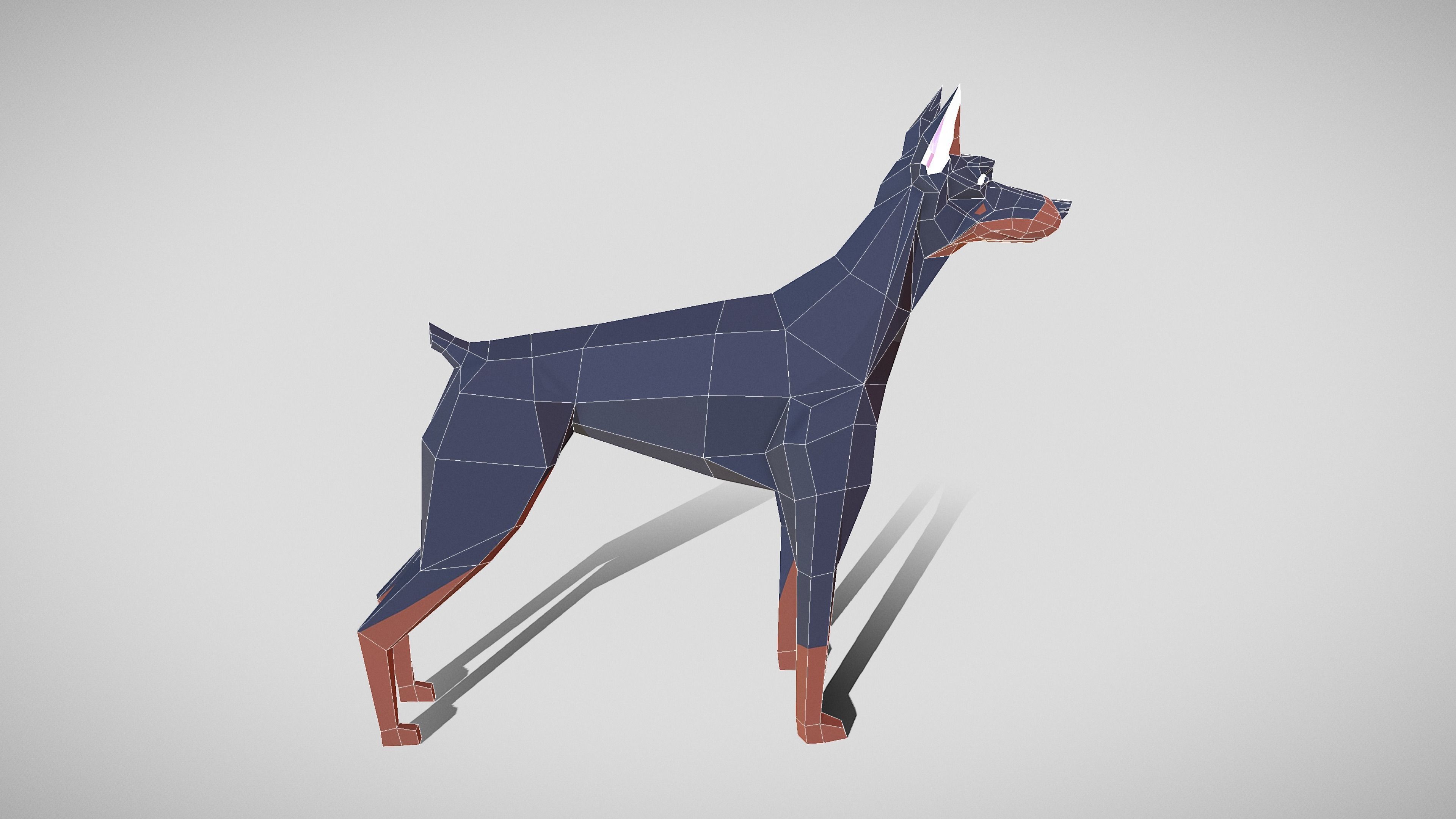 Dog Doberman Low-poly 3D model_16