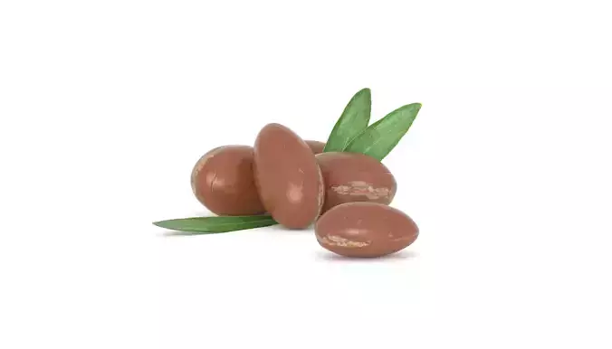 Argan seed Oil Photoscan Low-poly 3D model