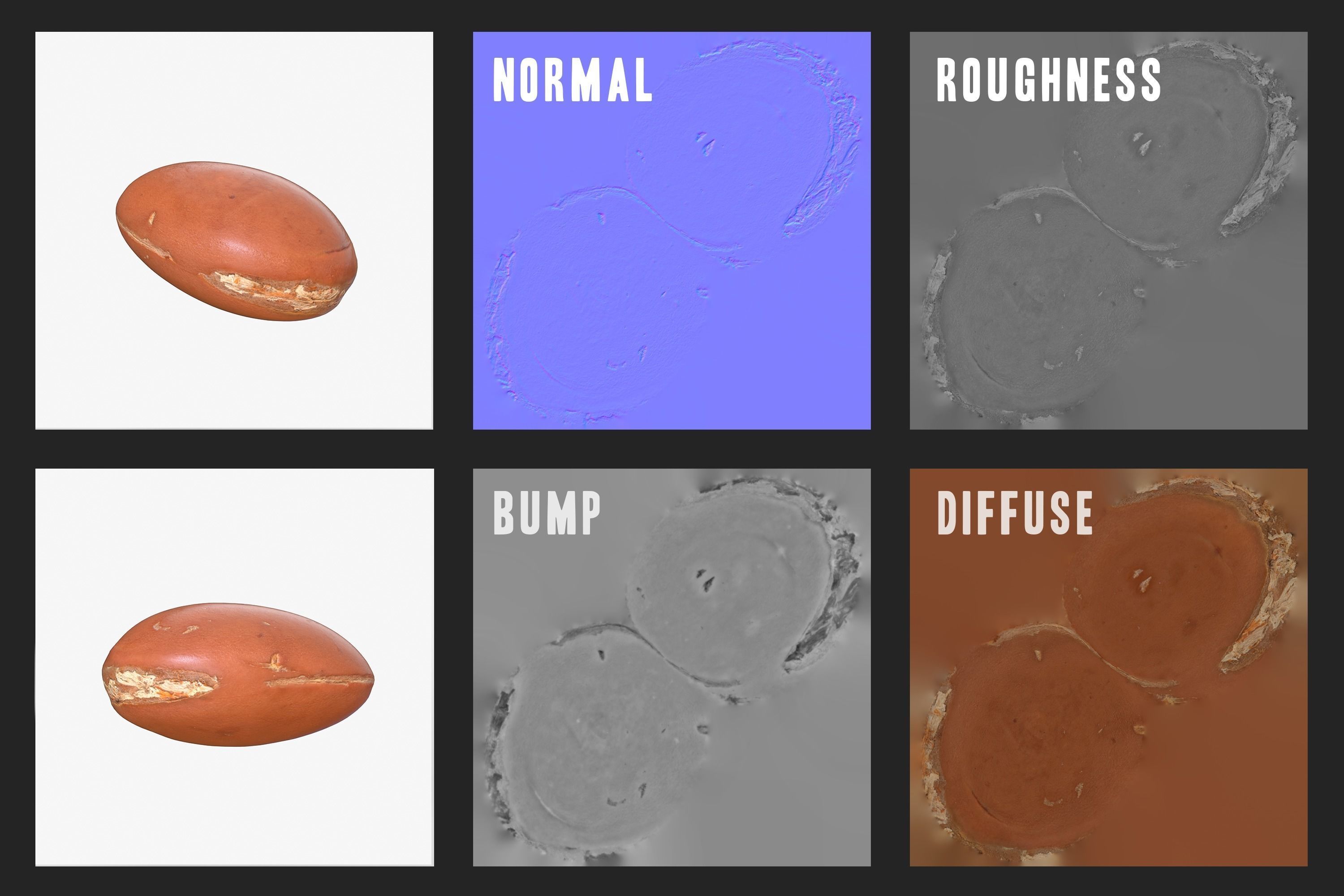 Argan seed Oil Photoscan Low-poly 3D model_10